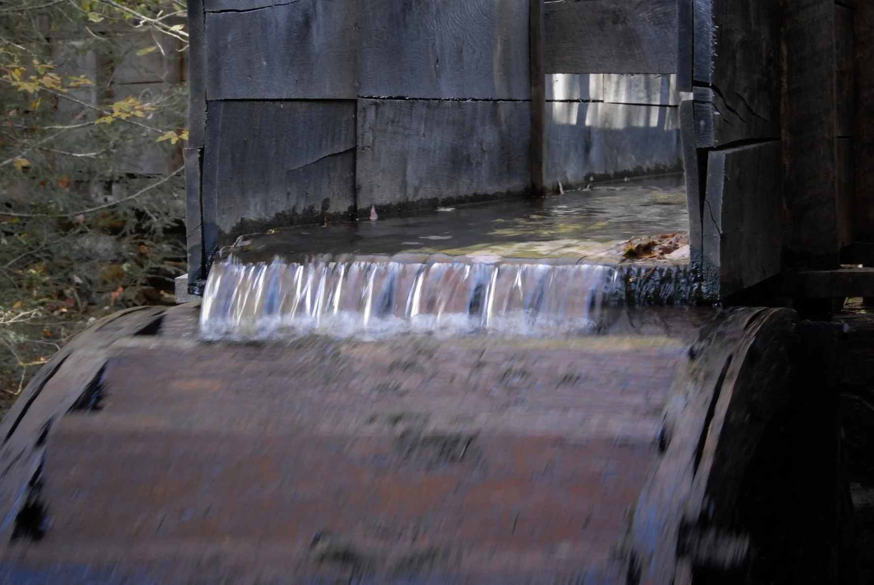 _DSC0051William Quarles Photography.JPG