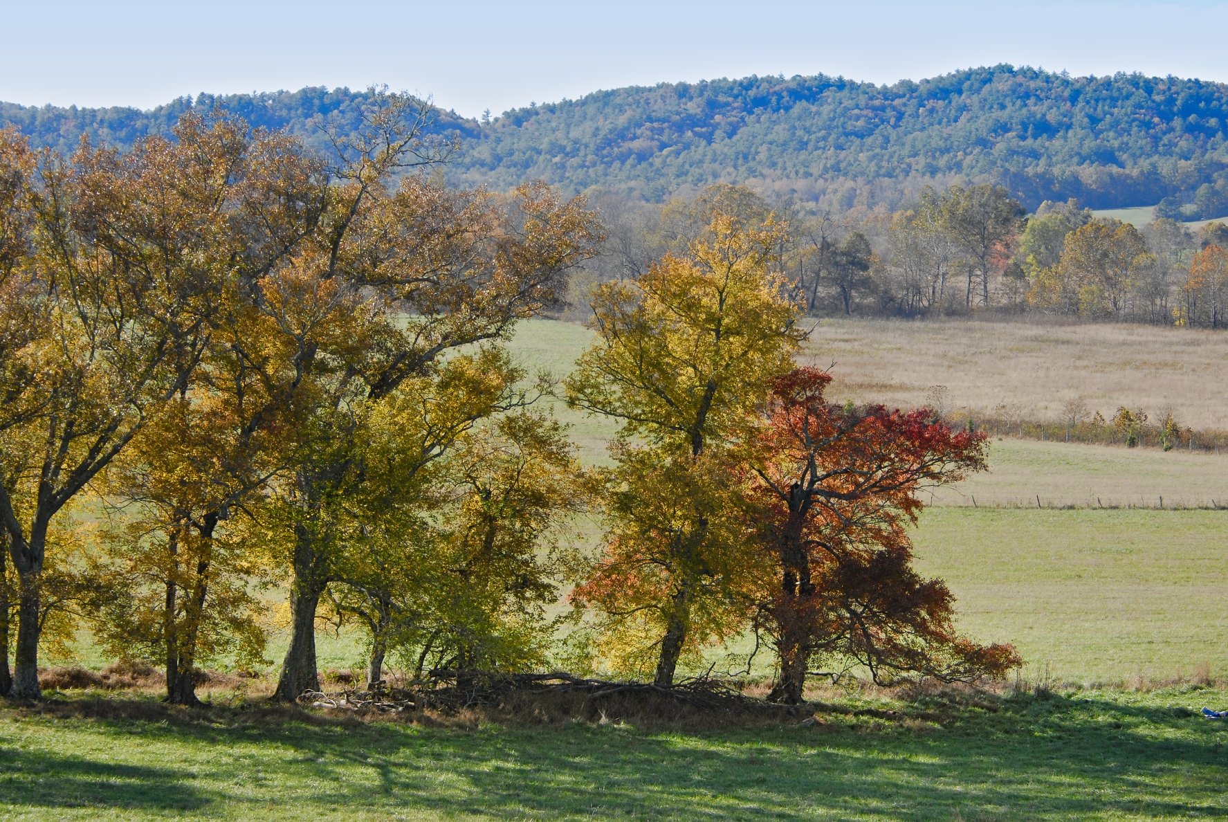 _DSC0059William Quarles Photography.JPG