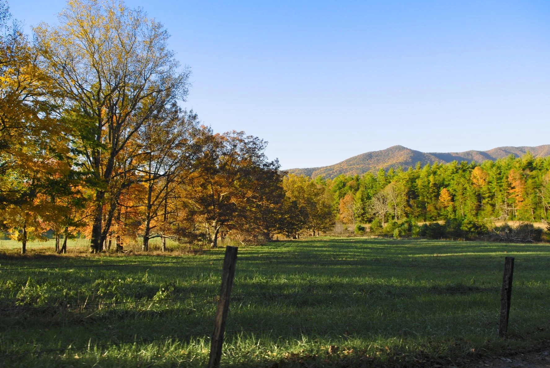 _DSC0086William Quarles Photography.JPG