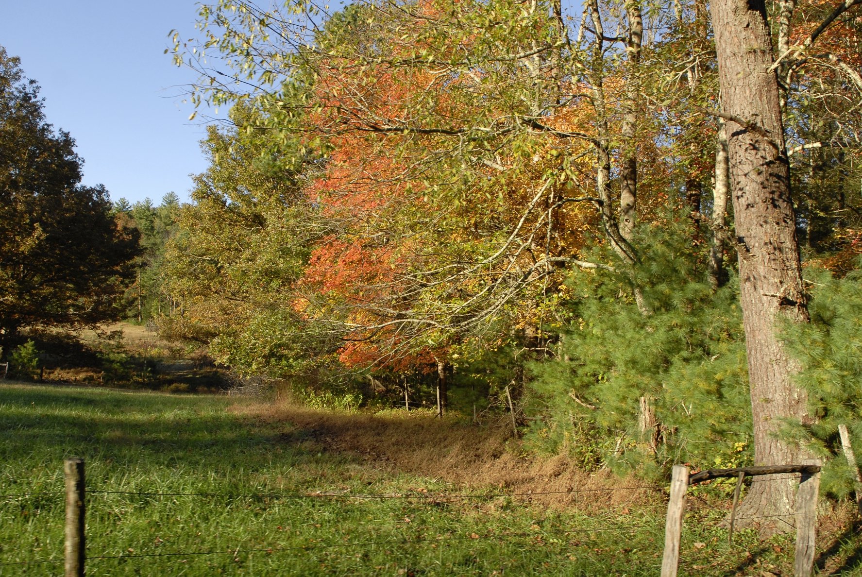 _DSC0087William Quarles Photography.JPG
