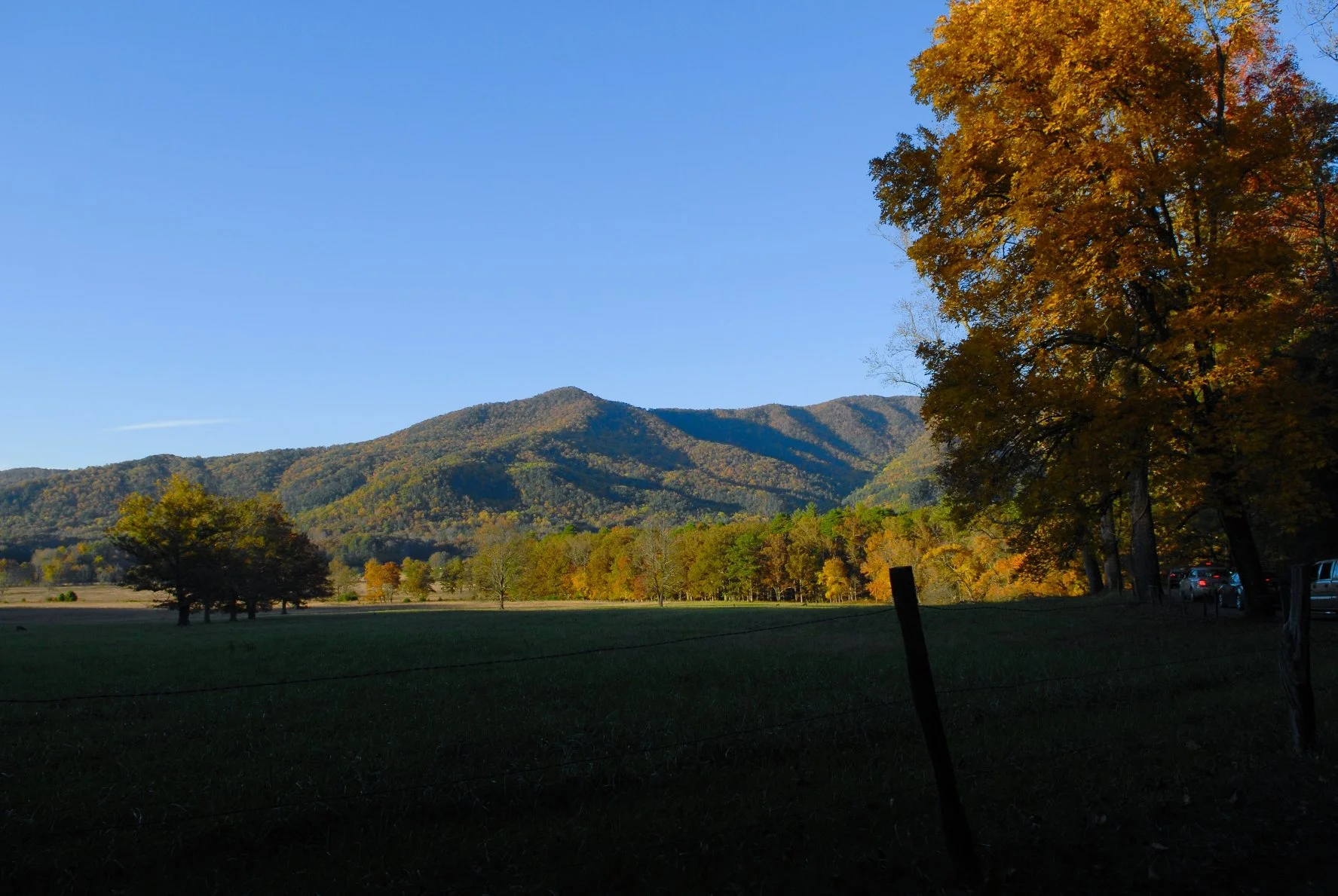 _DSC0088William Quarles Photography.JPG