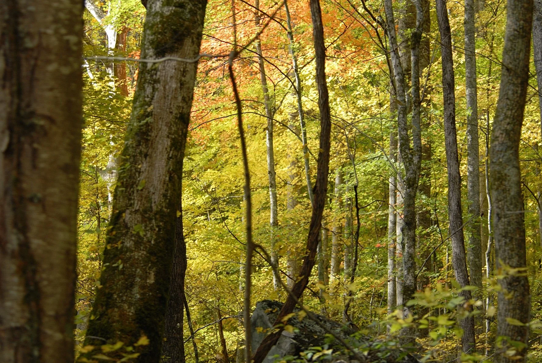 _DSC0105William Quarles Photography.JPG