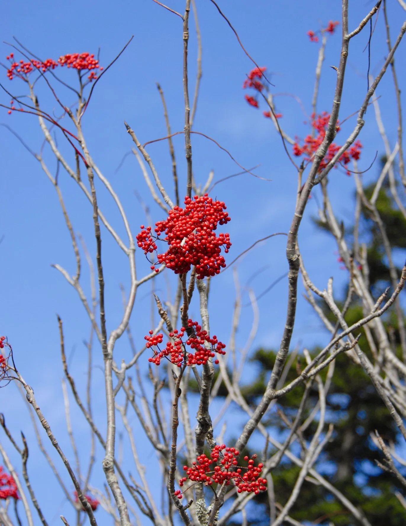 _DSC0112William Quarles Photography.JPG