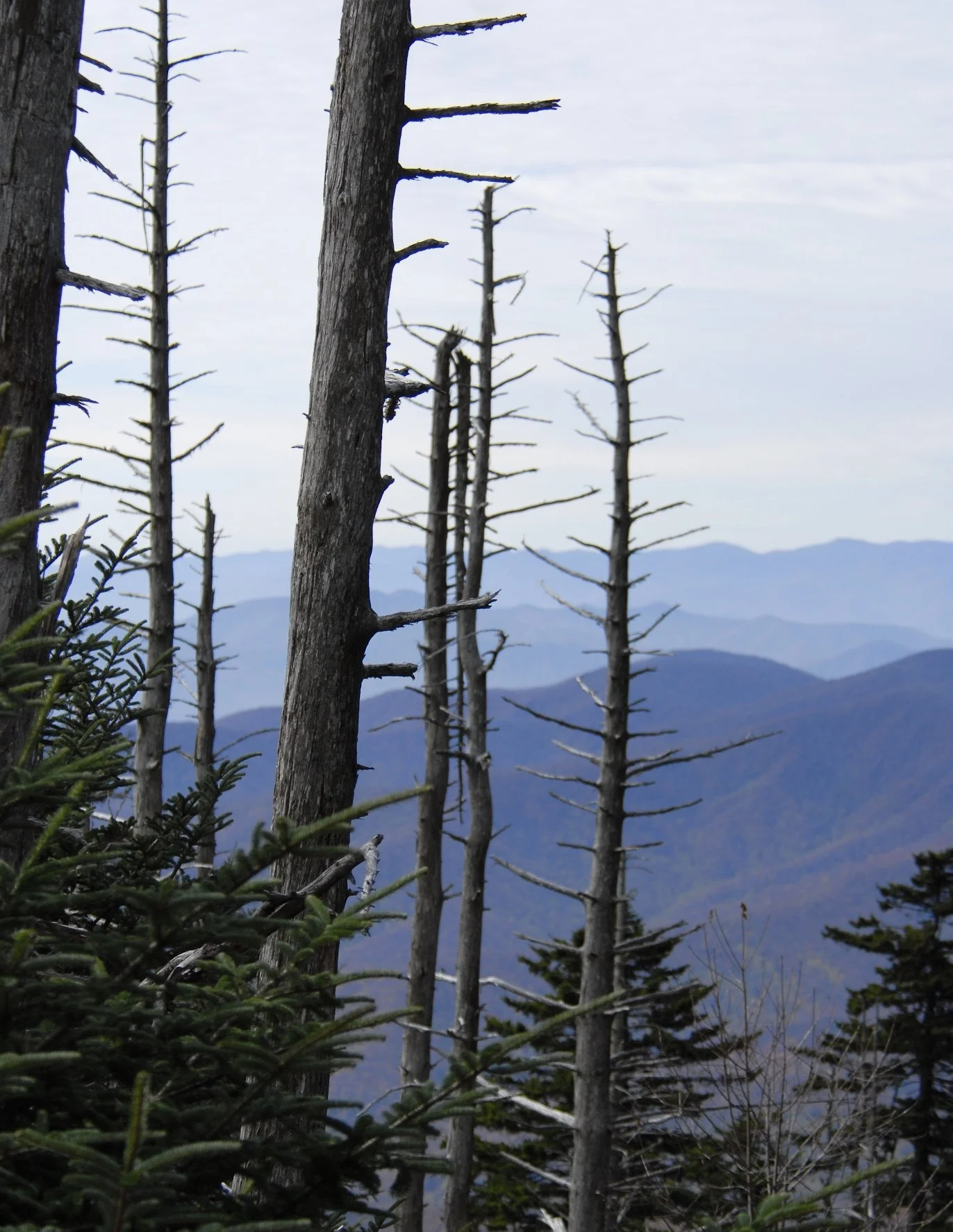_DSC0113William Quarles Photography.JPG