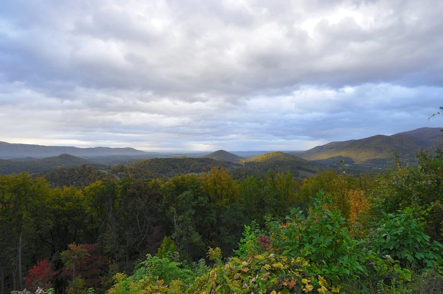 _DSC5208William Quarles Photography.JPG