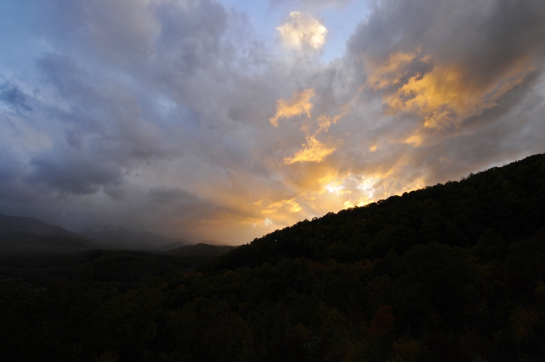 _DSC5225William Quarles Photography.JPG