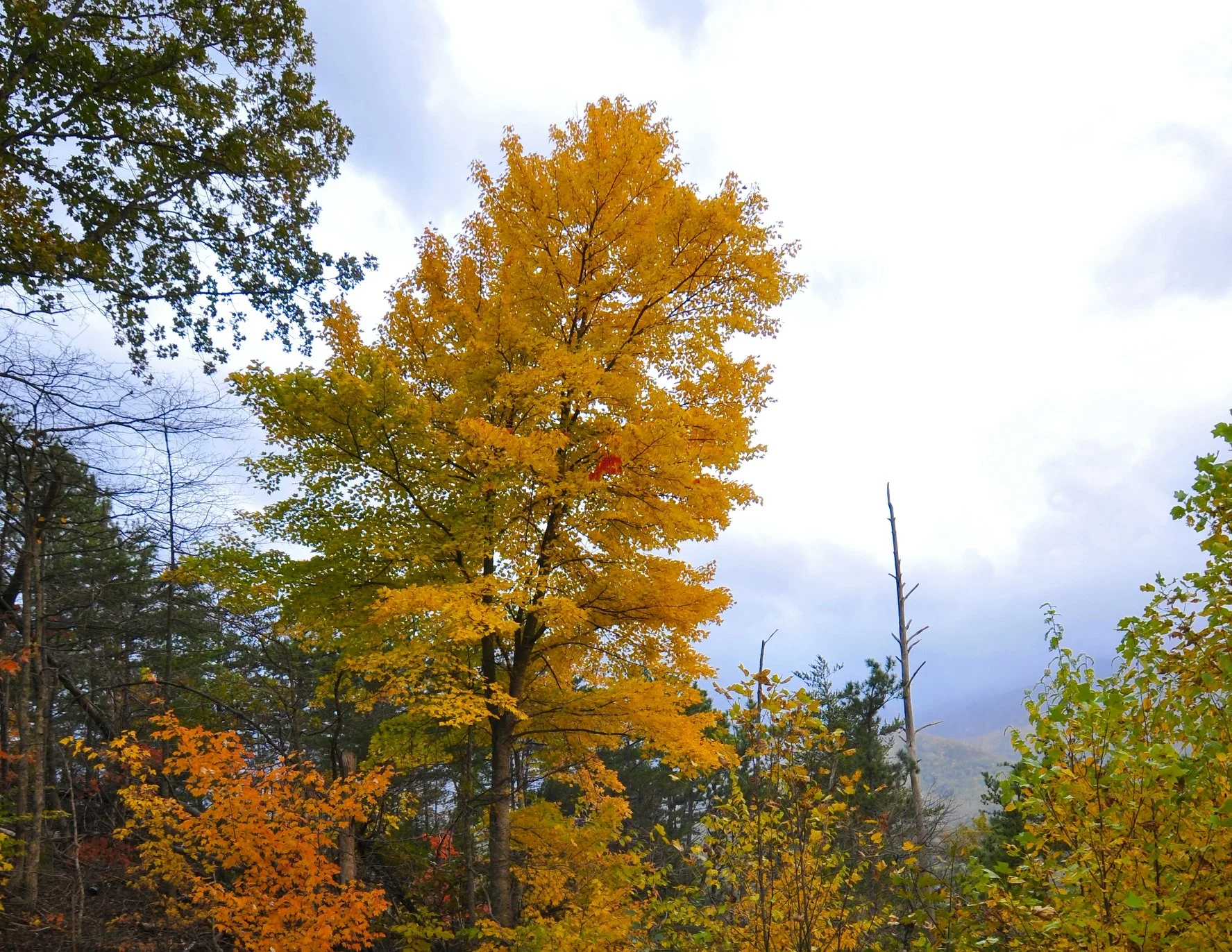 _DSC5238William Quarles Photography.JPG