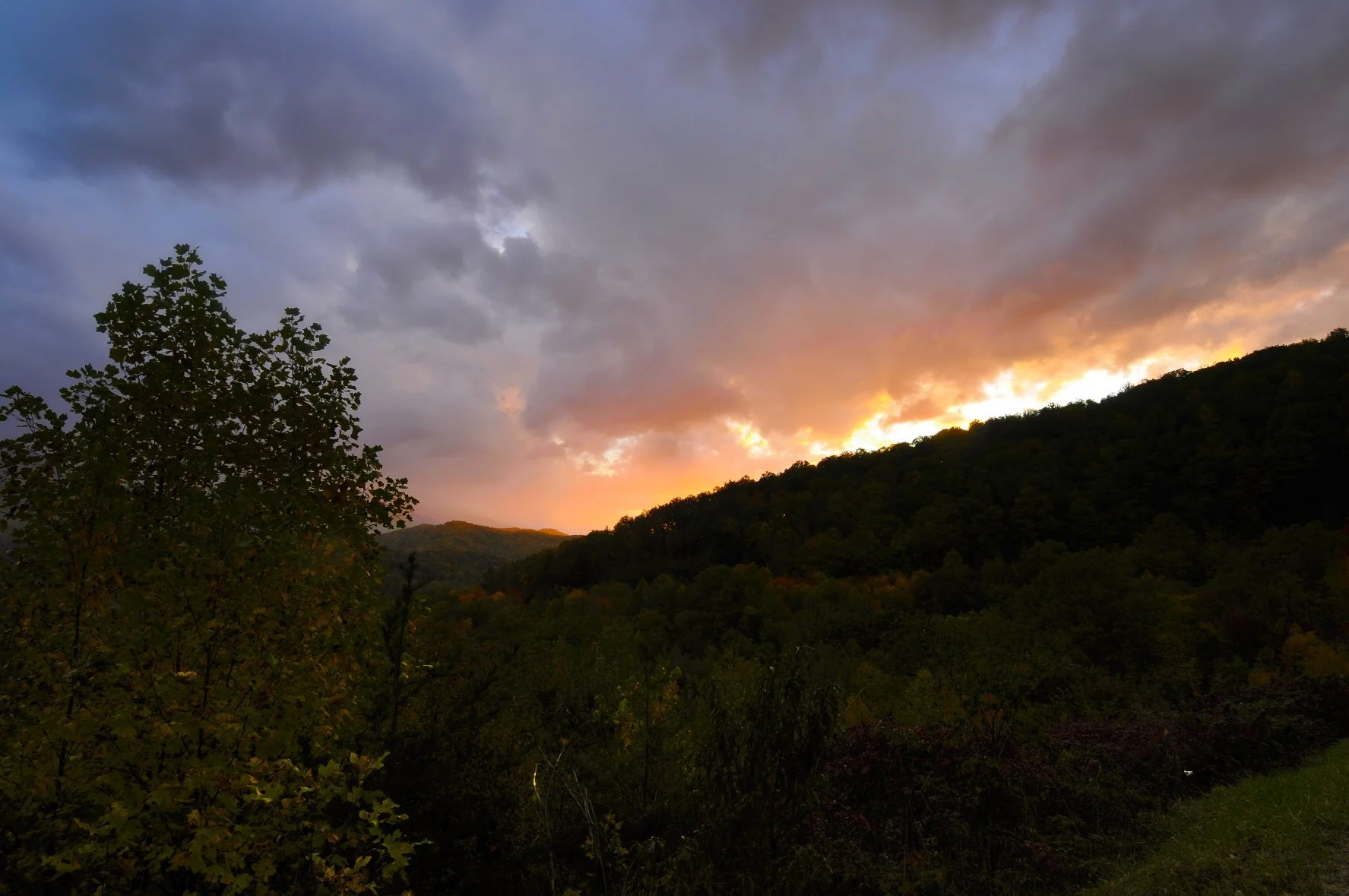 _DSC5240William Quarles Photography.JPG