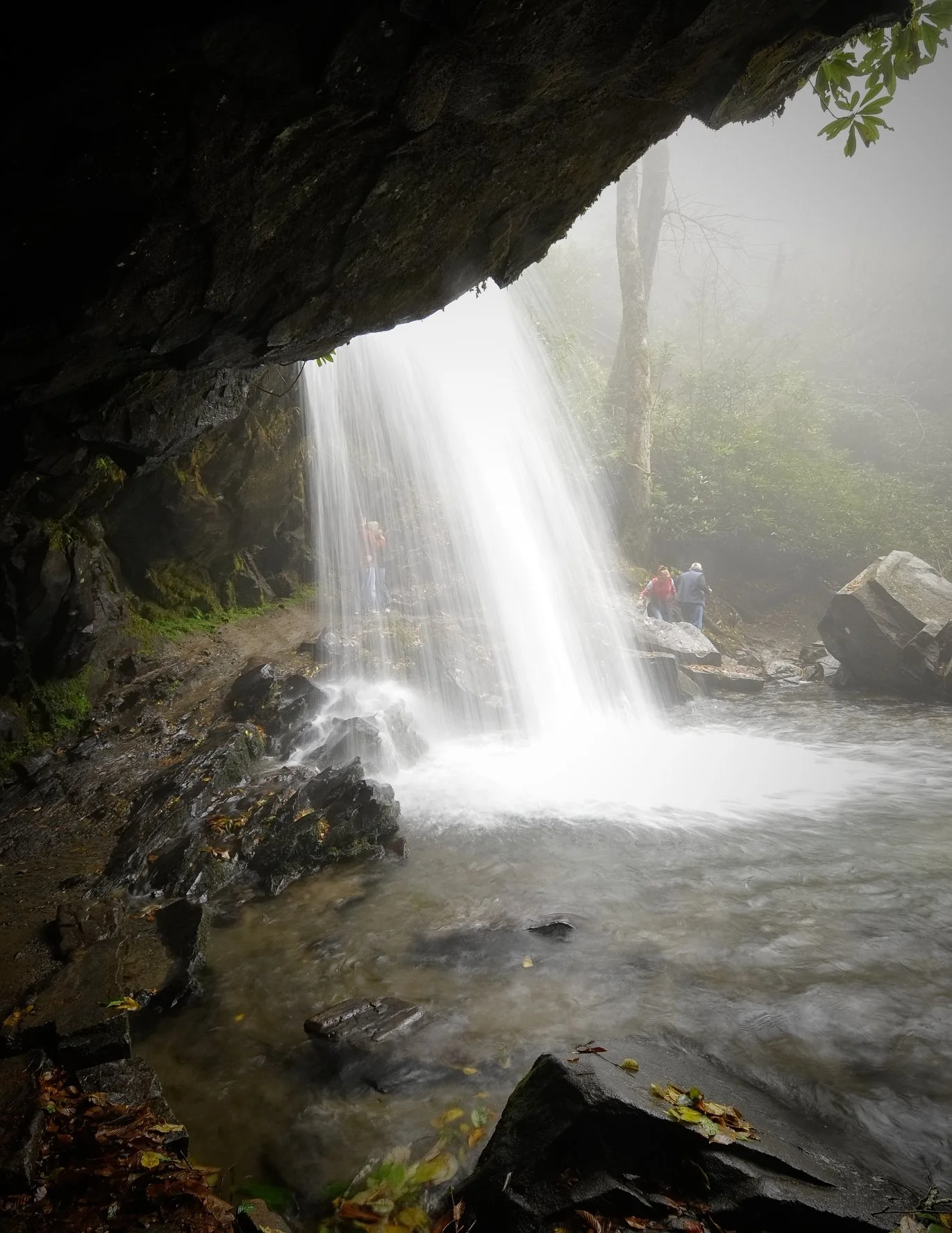 _DSC5360William Quarles Photography.JPG