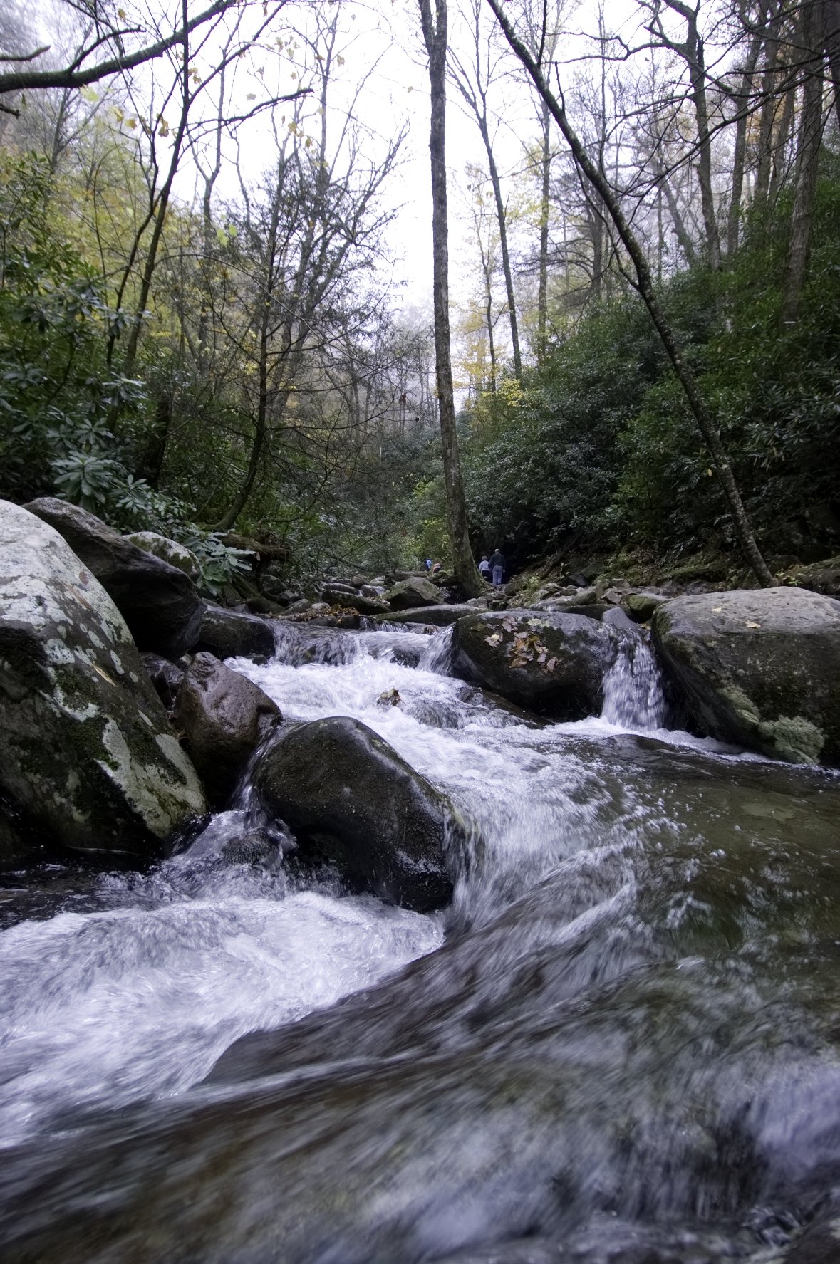 _DSC5381William Quarles Photography.JPG