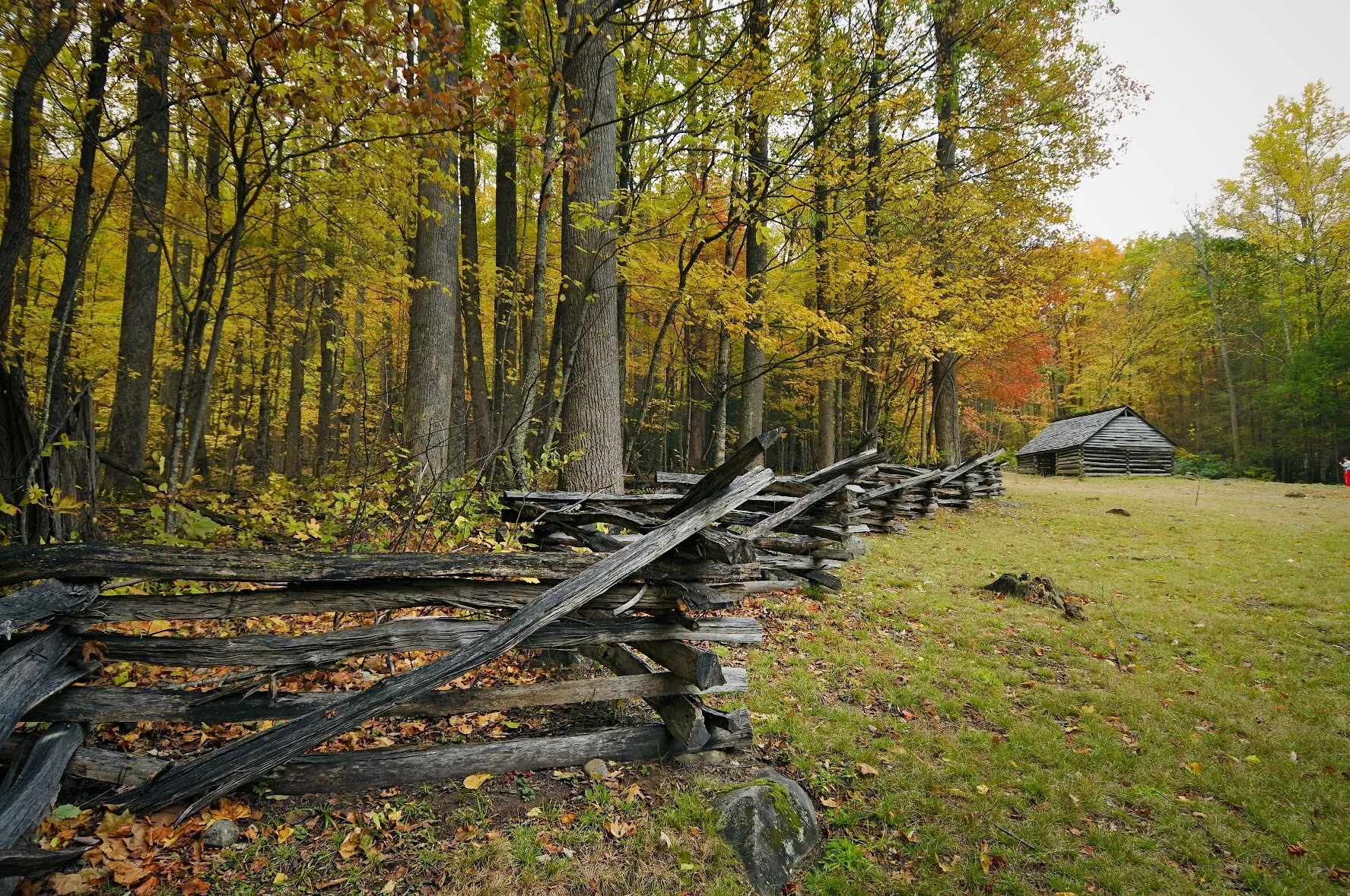 _DSC5391William Quarles Photography.JPG