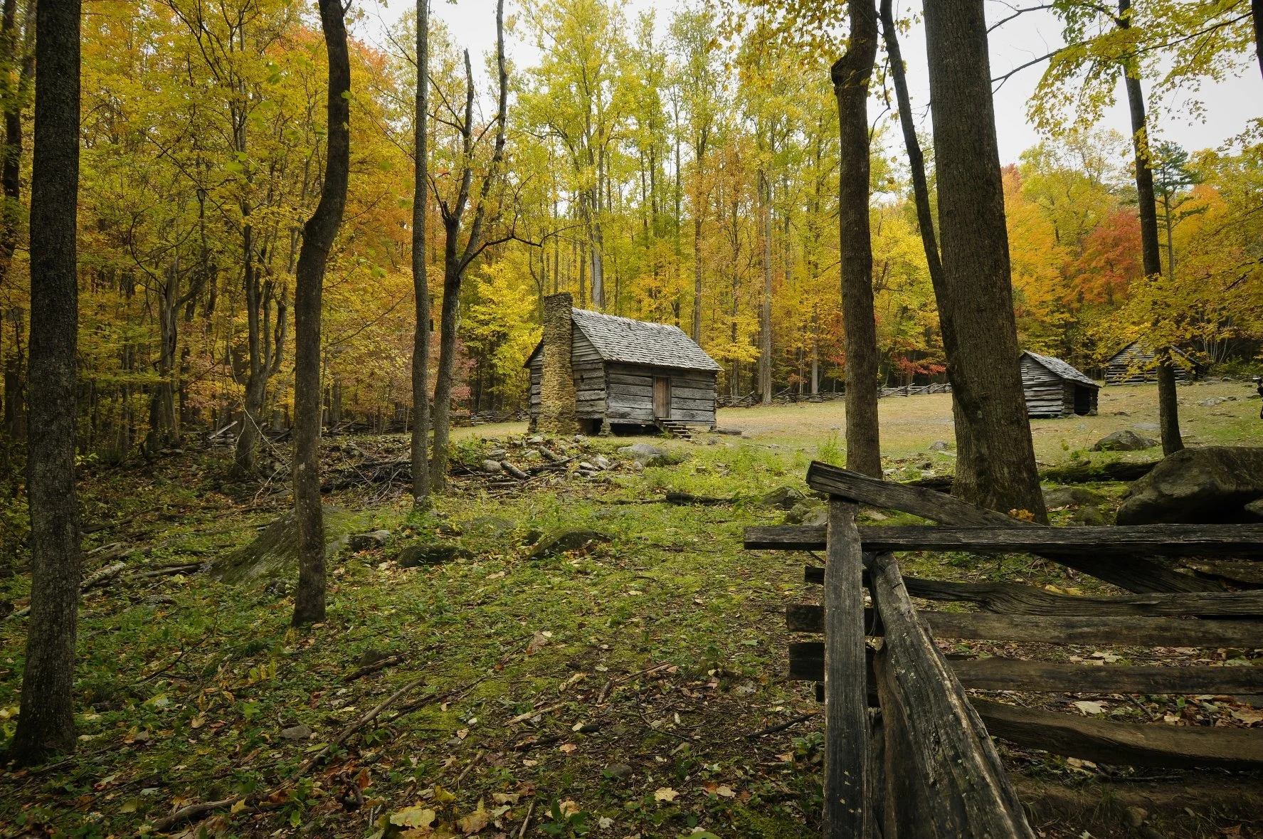_DSC5406William Quarles Photography.JPG