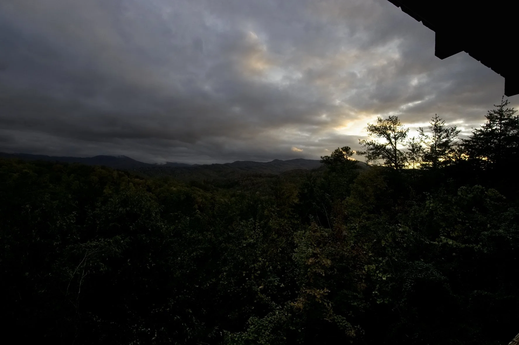 _DSC5423William Quarles Photography.JPG