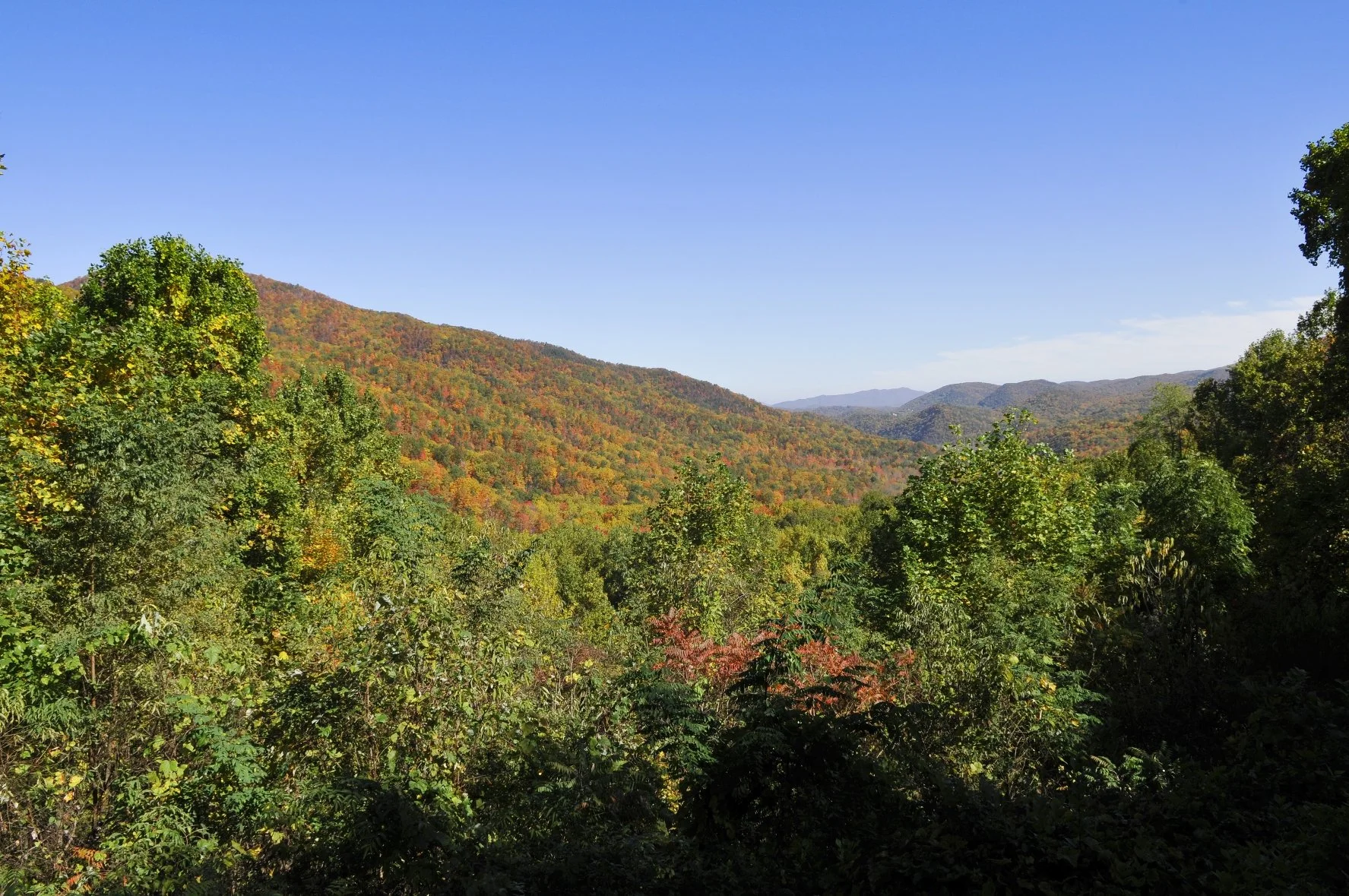 _DSC5471William Quarles Photography.JPG
