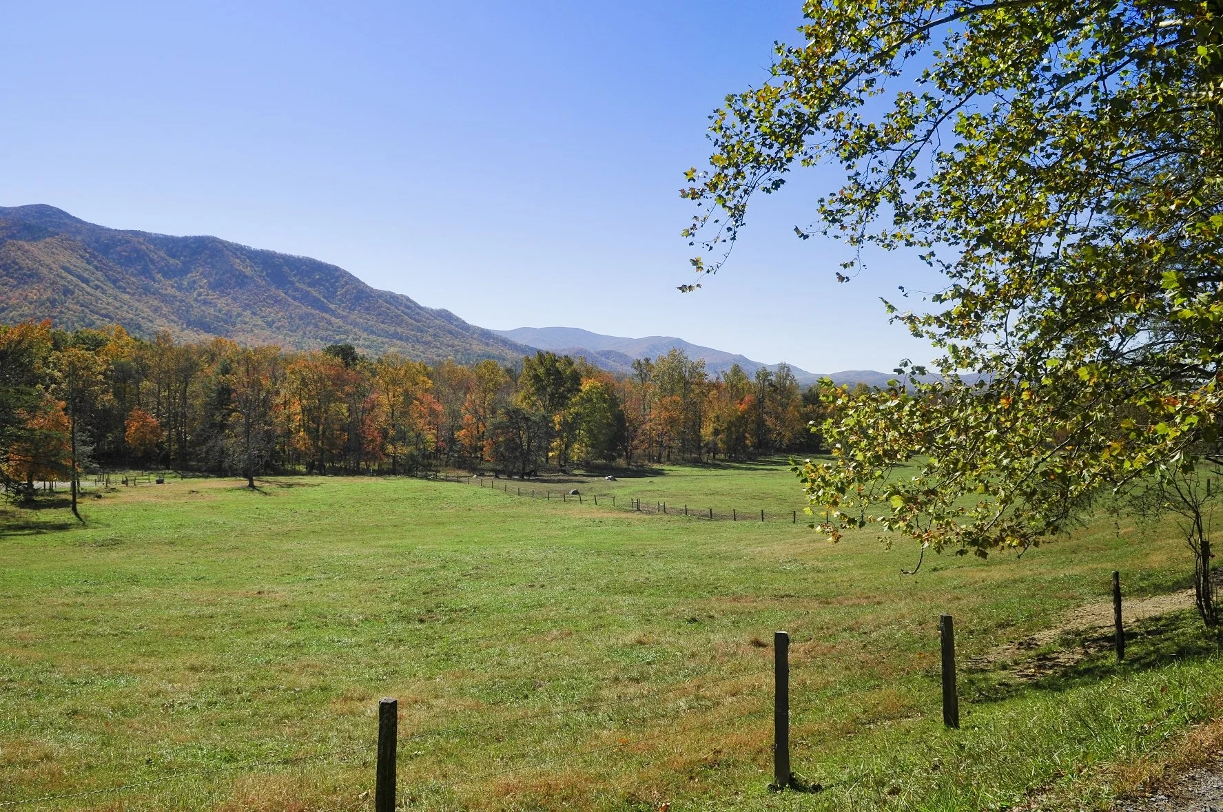 _DSC5479William Quarles Photography.JPG