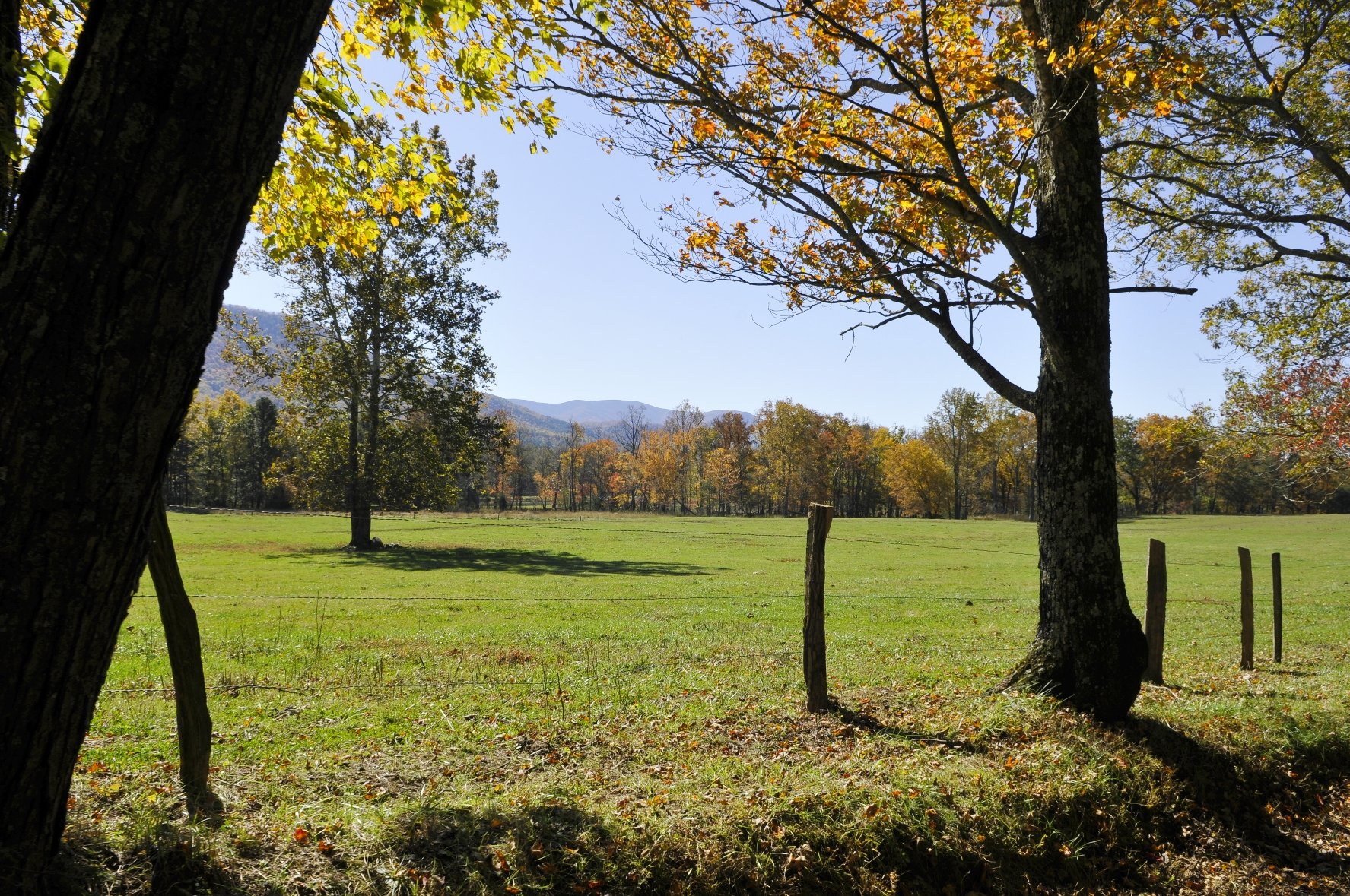 _DSC5481William Quarles Photography.JPG