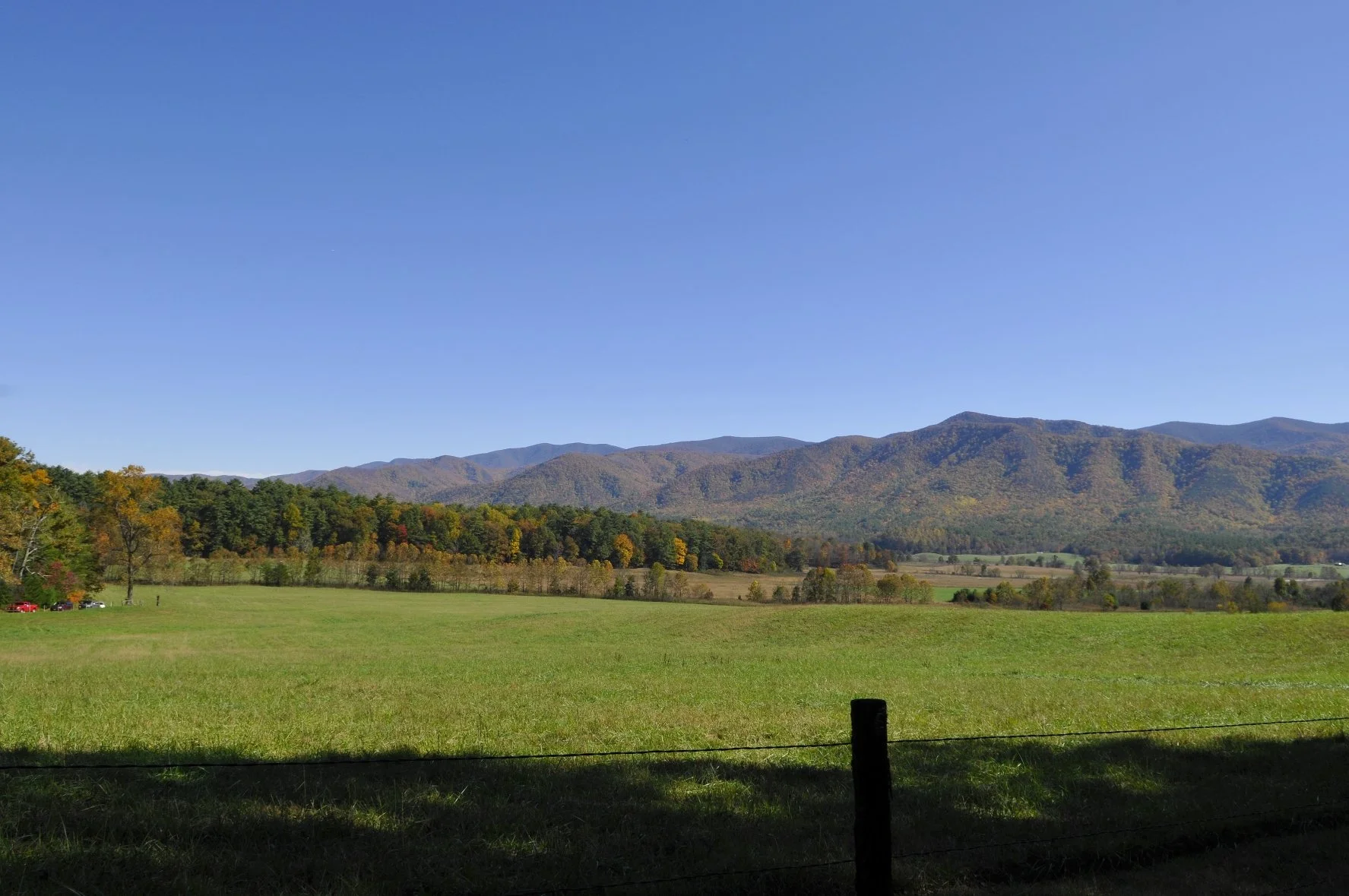 _DSC5498William Quarles Photography.JPG