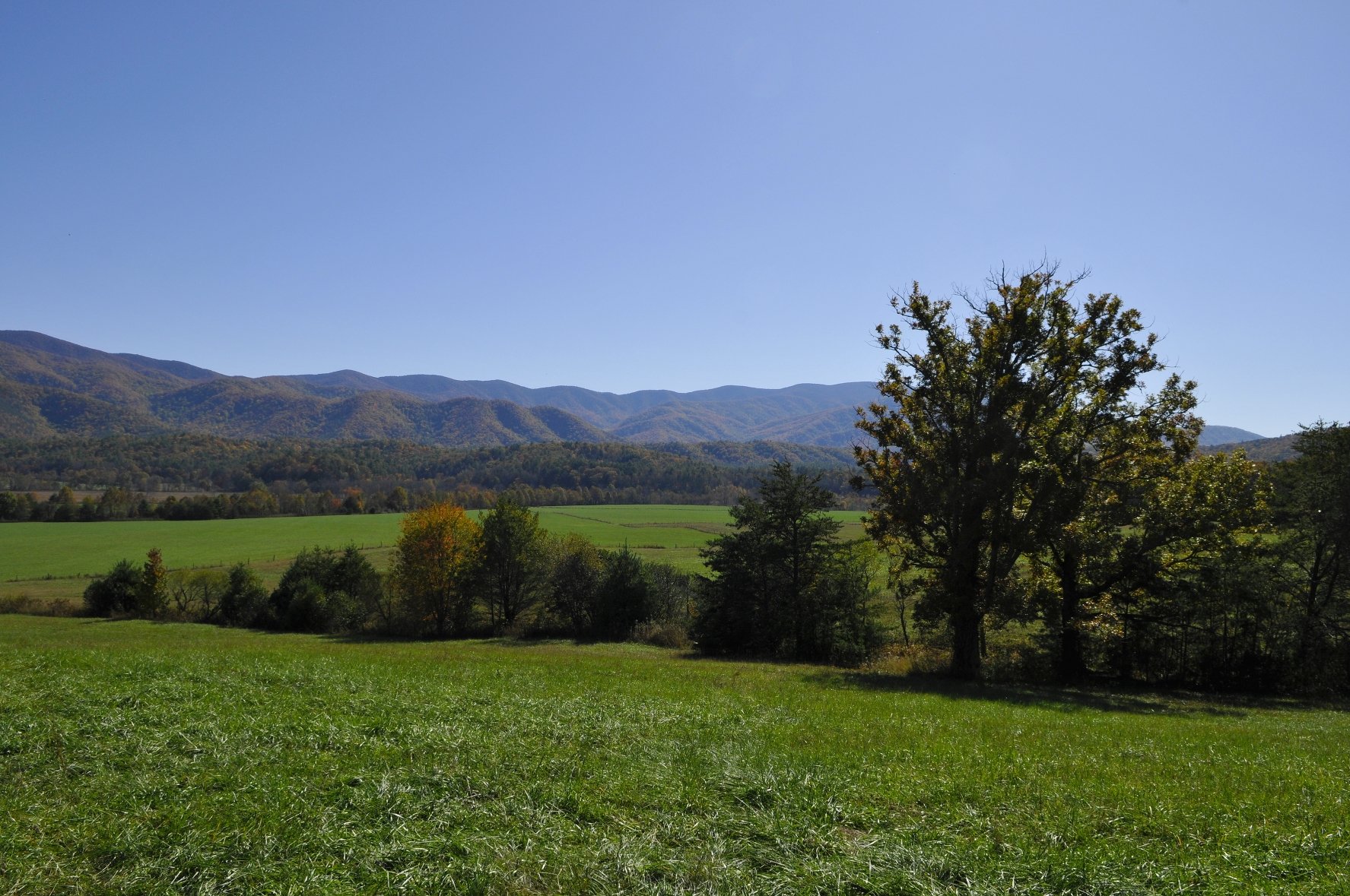 _DSC5501William Quarles Photography.JPG