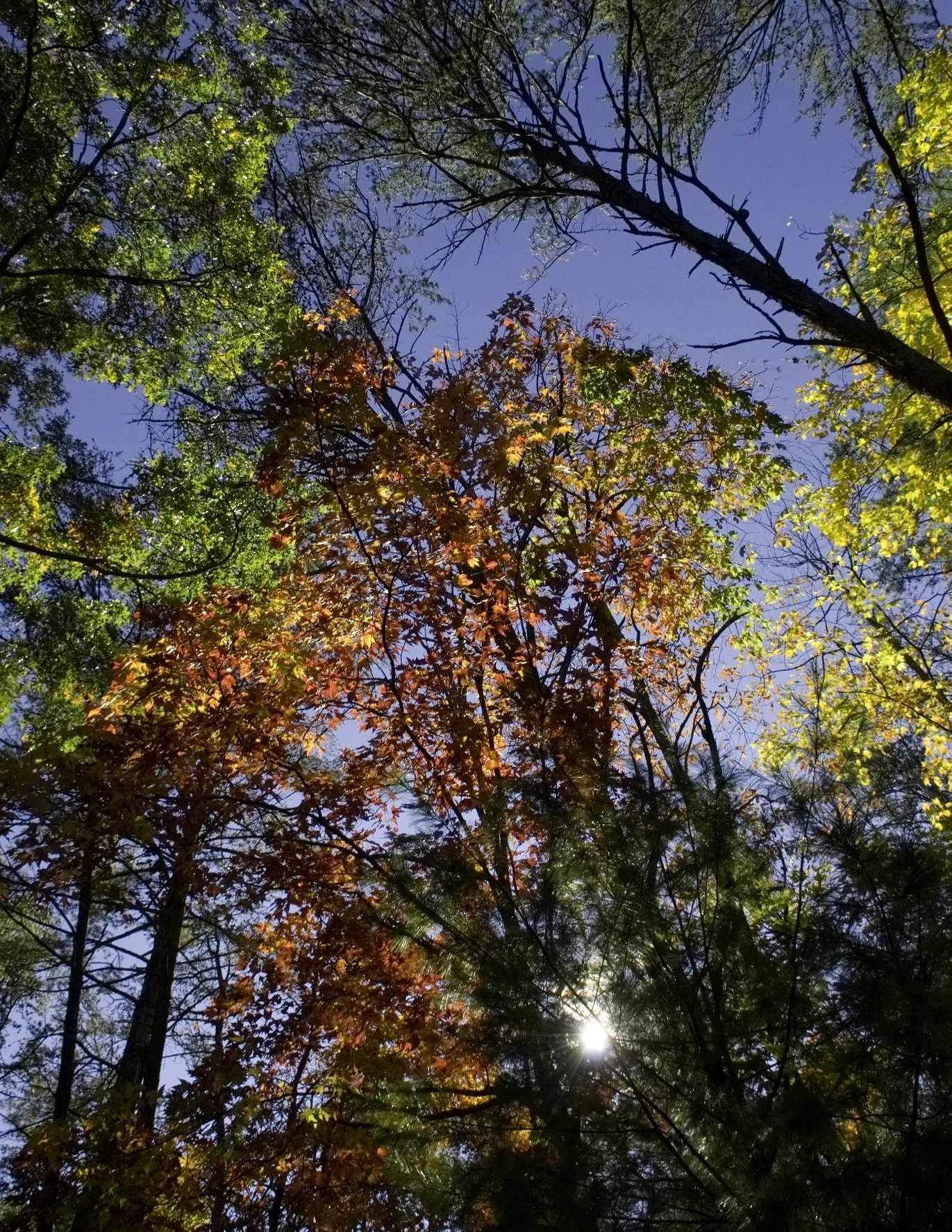 _DSC5502William Quarles Photography.JPG