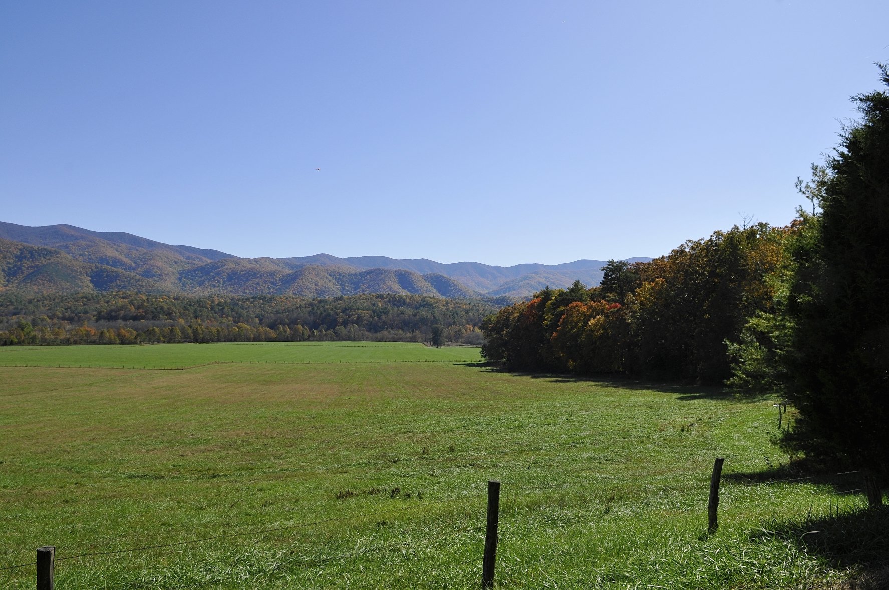 _DSC5505William Quarles Photography.JPG