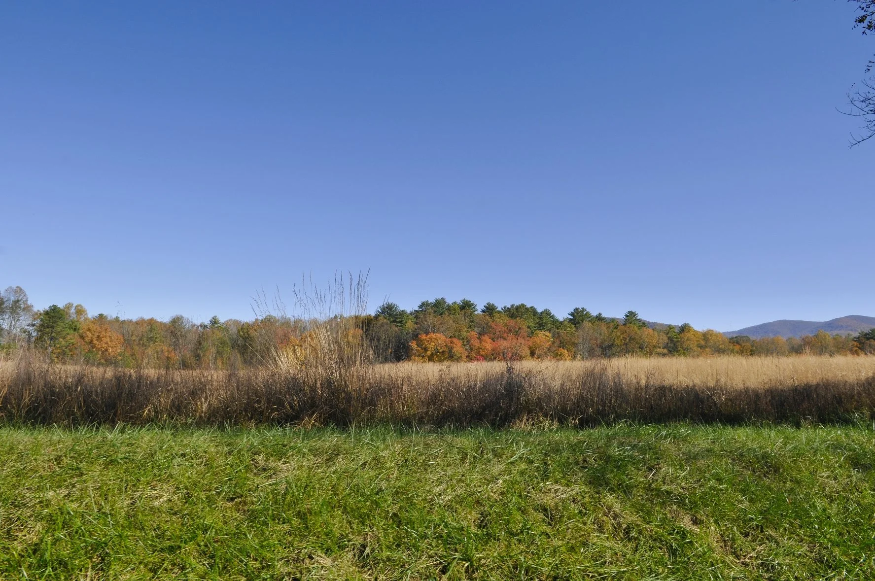 _DSC5511William Quarles Photography.JPG