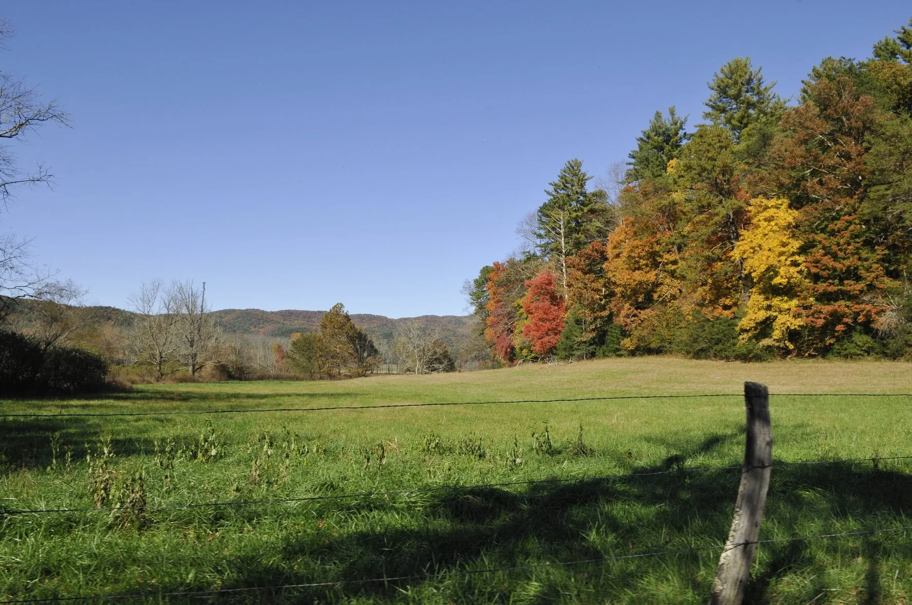 _DSC5533William Quarles Photography.JPG