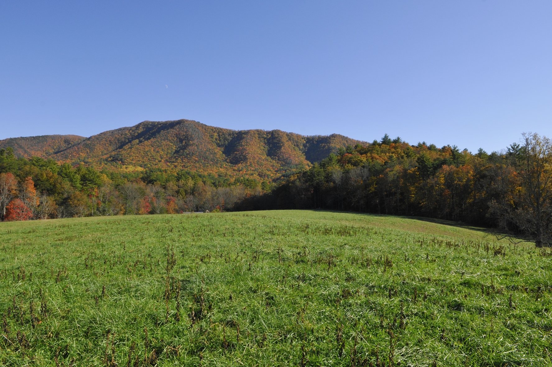 _DSC5536William Quarles Photography.JPG
