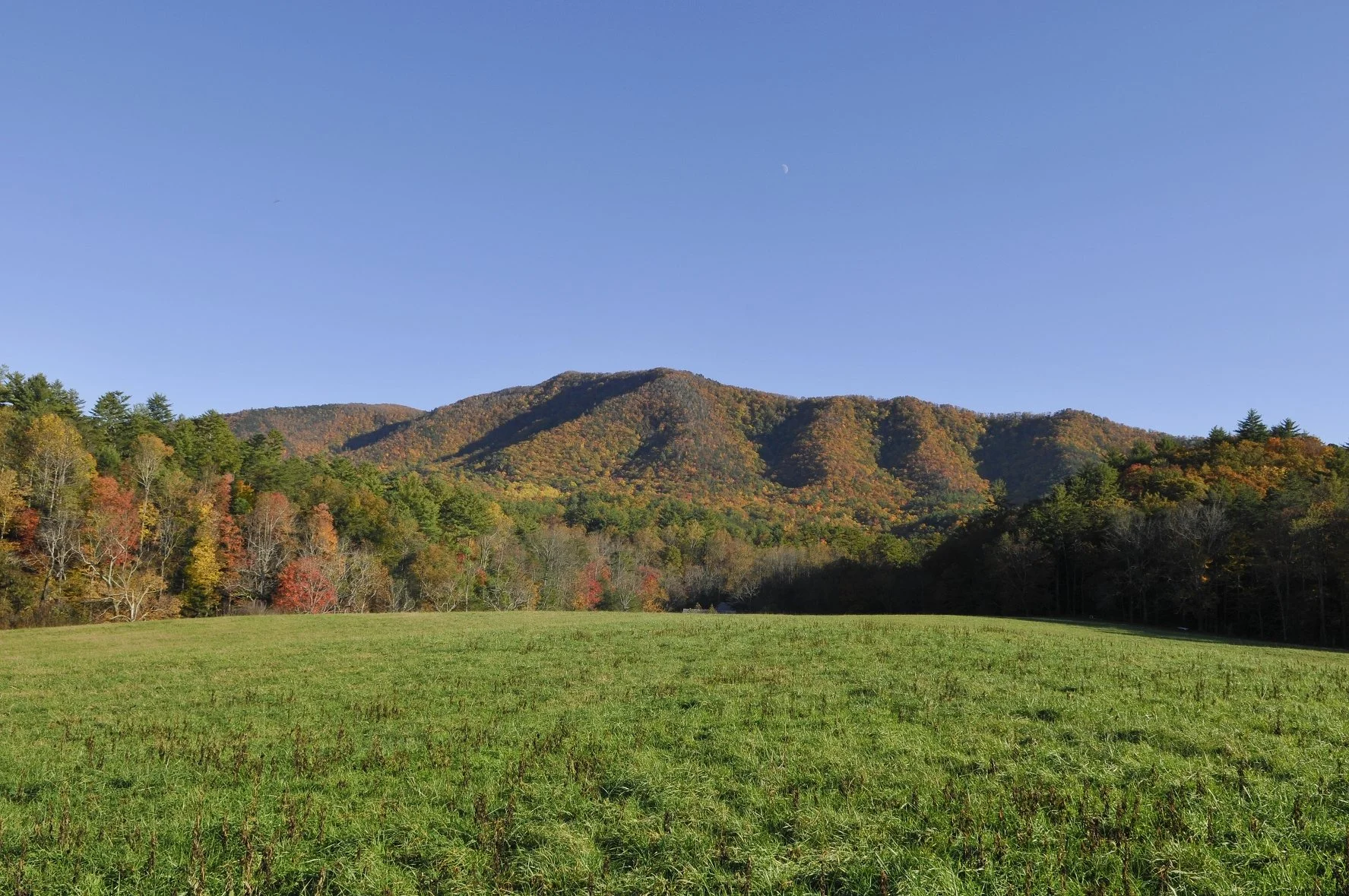 _DSC5571William Quarles Photography.JPG