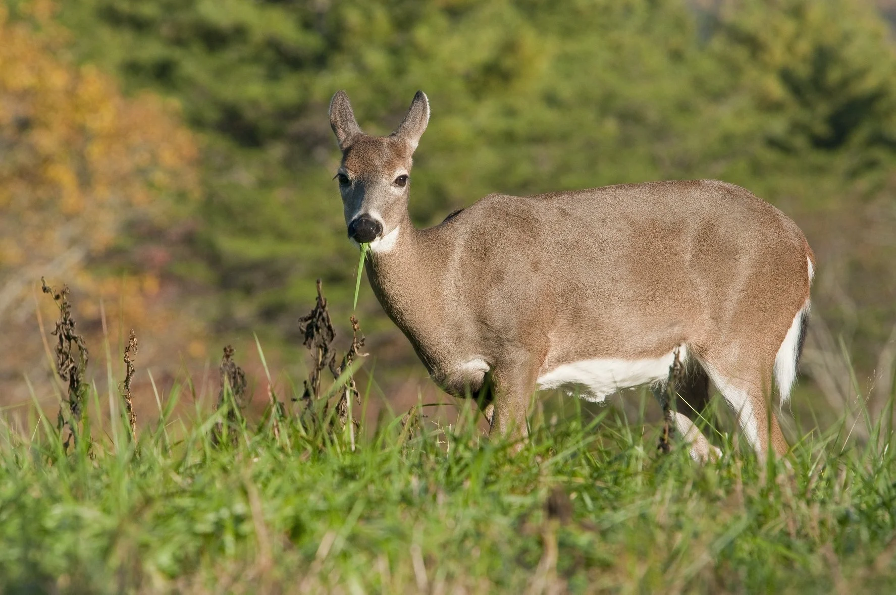 _DSC5592William Quarles Photography.JPG