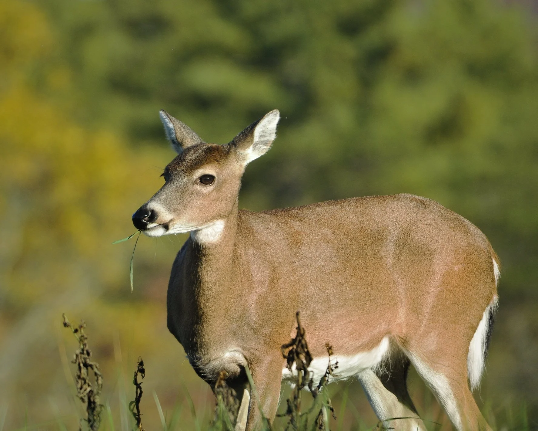_DSC5600William Quarles Photography.JPG