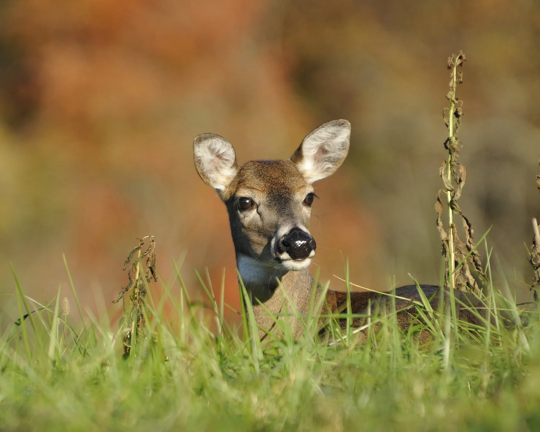 _DSC5622William Quarles Photography.JPG
