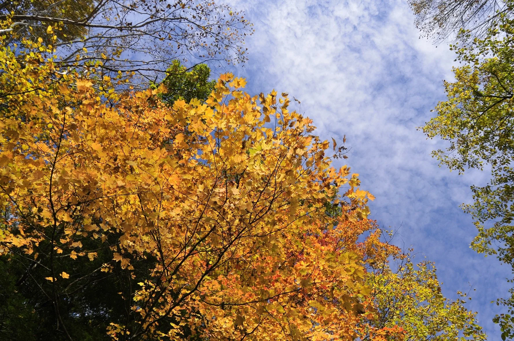 _DSC5653William Quarles Photography.JPG