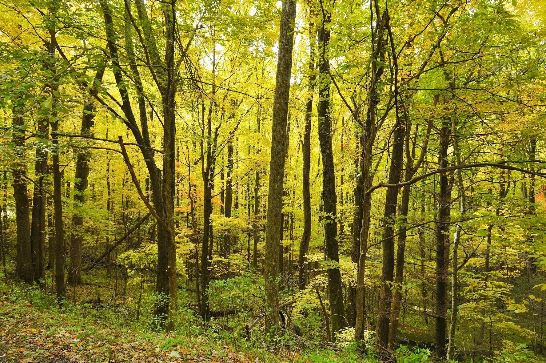 _DSC5673William Quarles Photography.JPG
