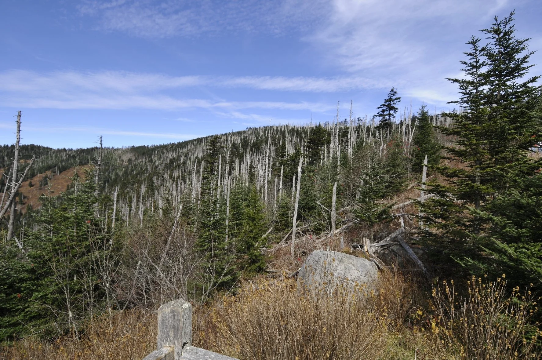 _DSC5690William Quarles Photography.JPG