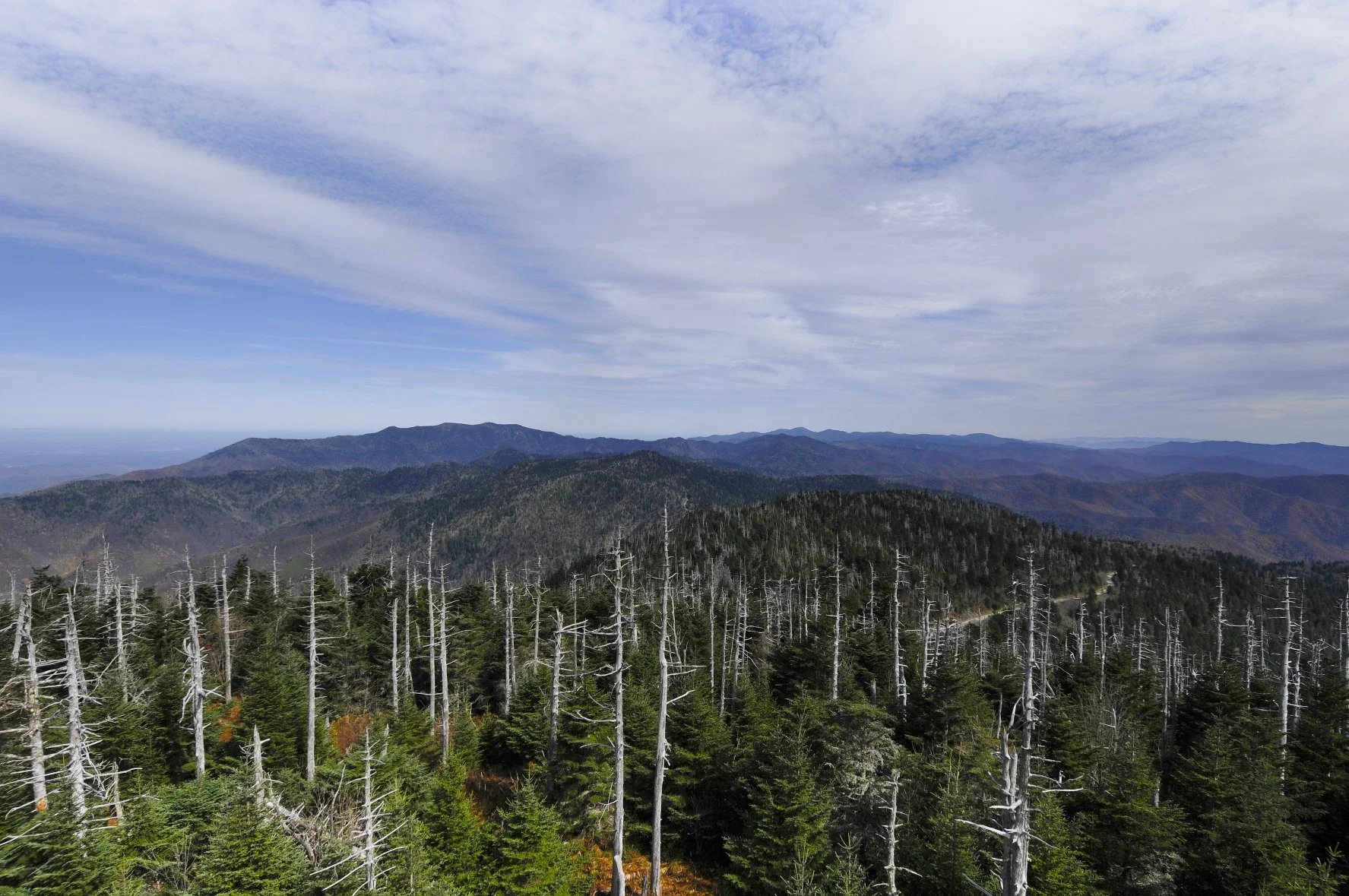 _DSC5712William Quarles Photography.JPG