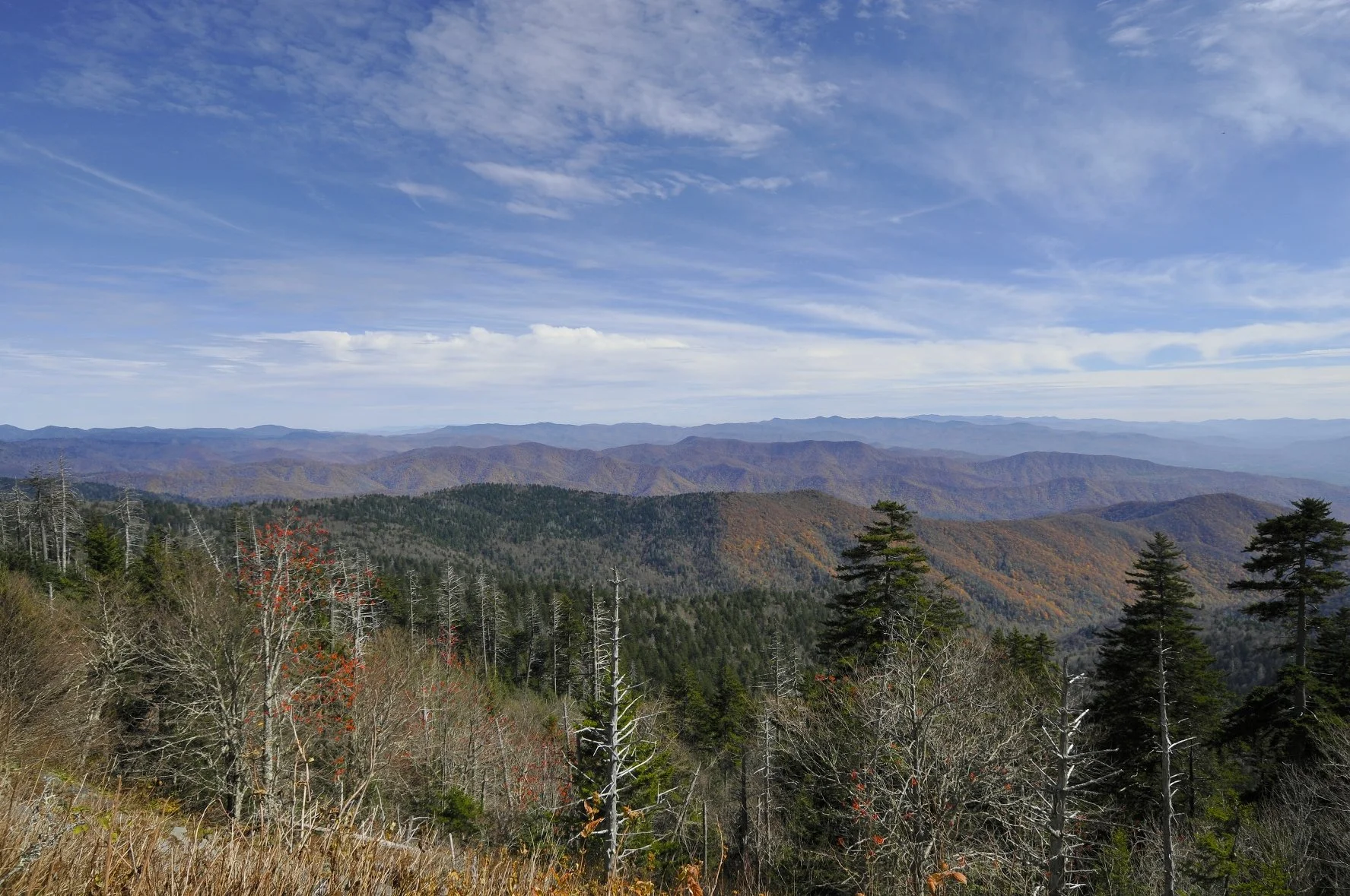 _DSC5736William Quarles Photography.JPG