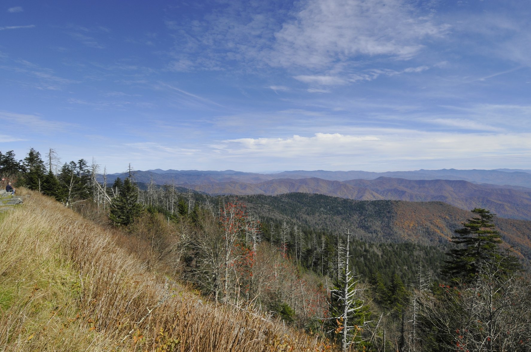 _DSC5737William Quarles Photography.JPG