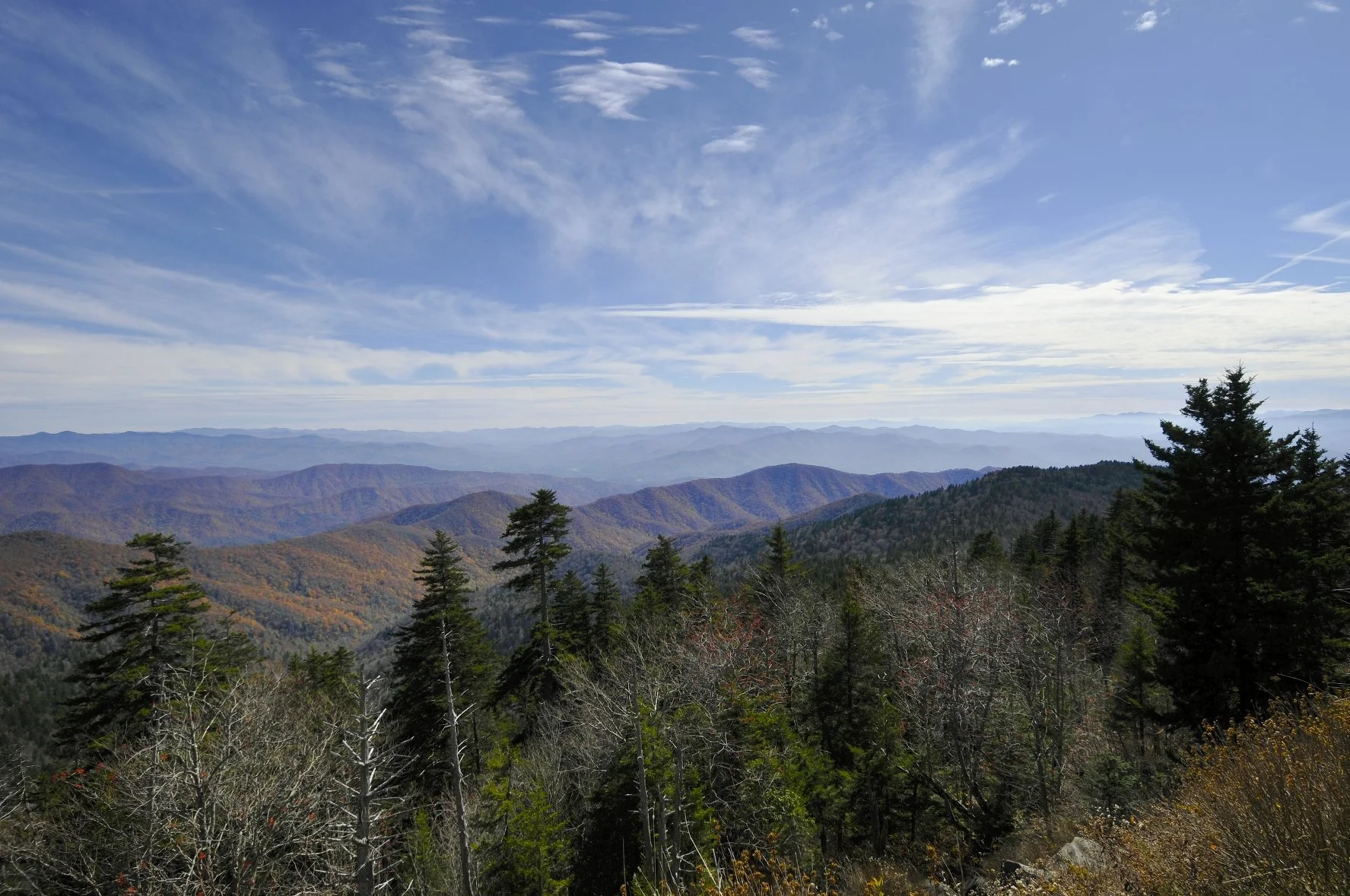 _DSC5738William Quarles Photography.JPG