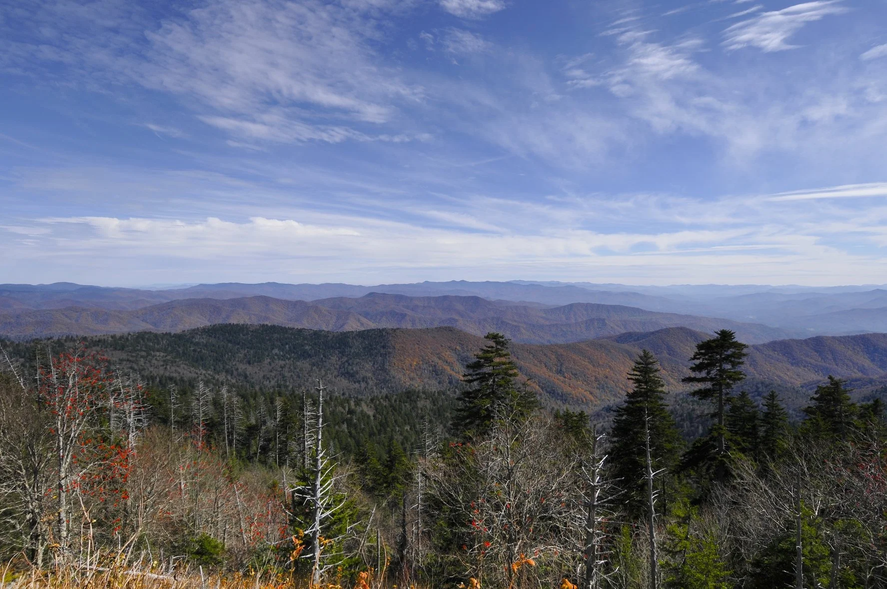 _DSC5740William Quarles Photography.JPG