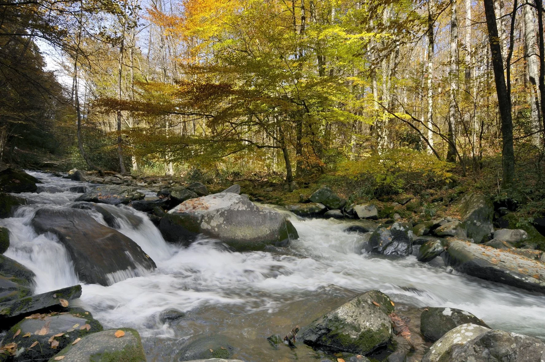 _DSC5750William Quarles Photography.JPG