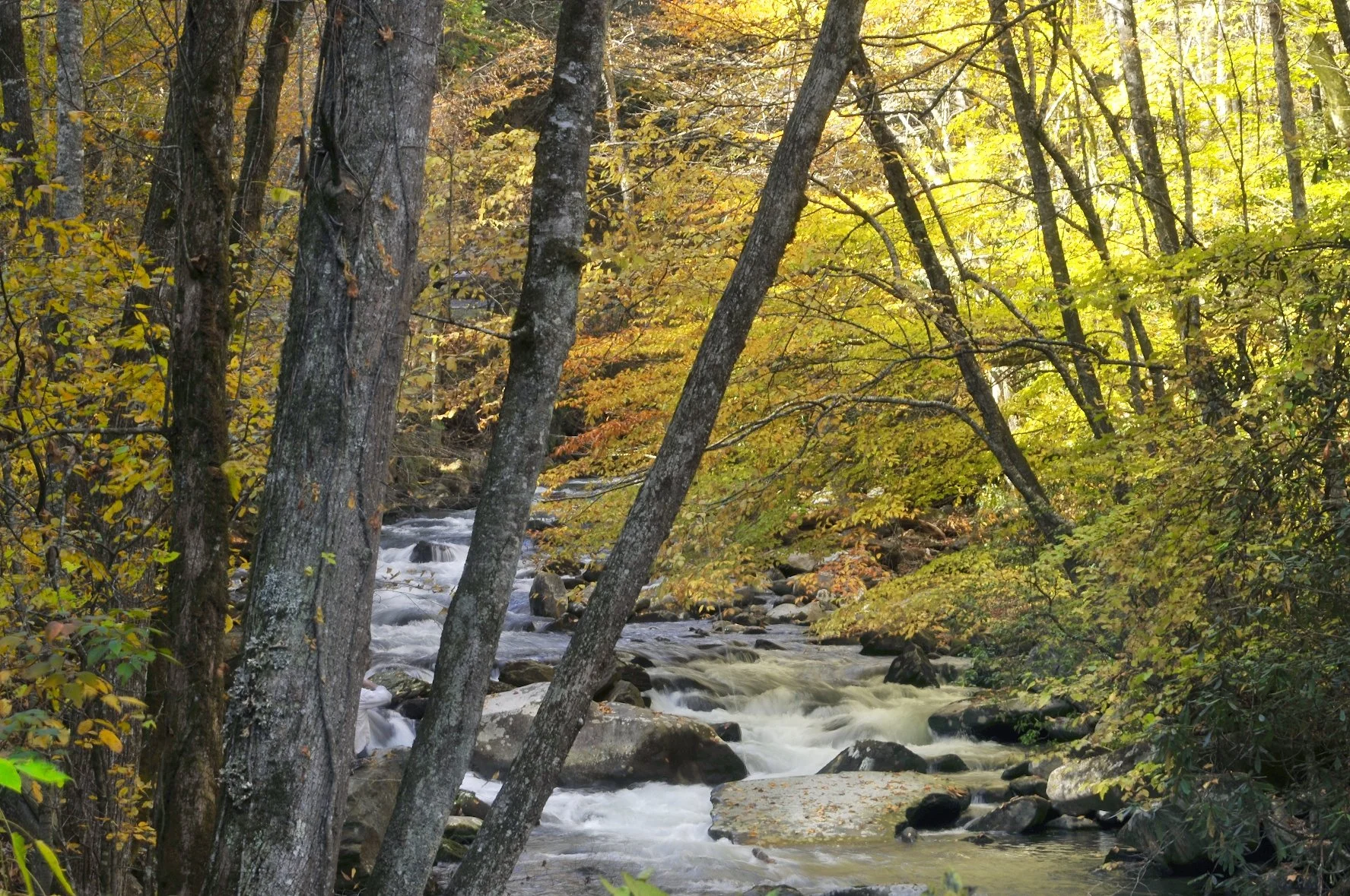 _DSC5751William Quarles Photography.JPG