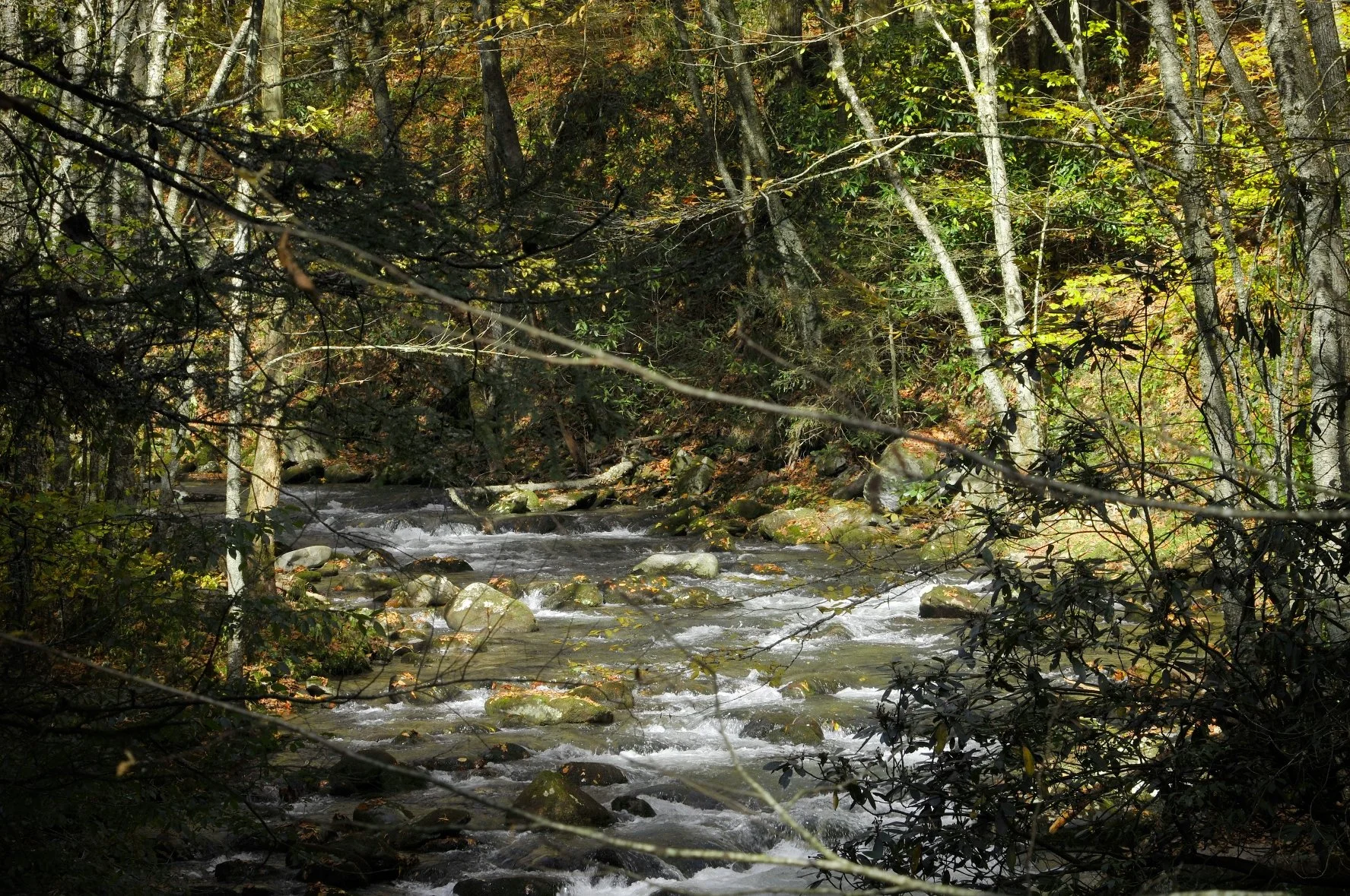 _DSC5754William Quarles Photography.JPG