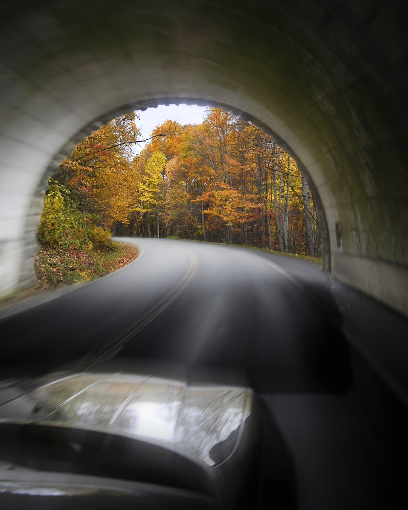 _DSC5766William Quarles Photography.JPG
