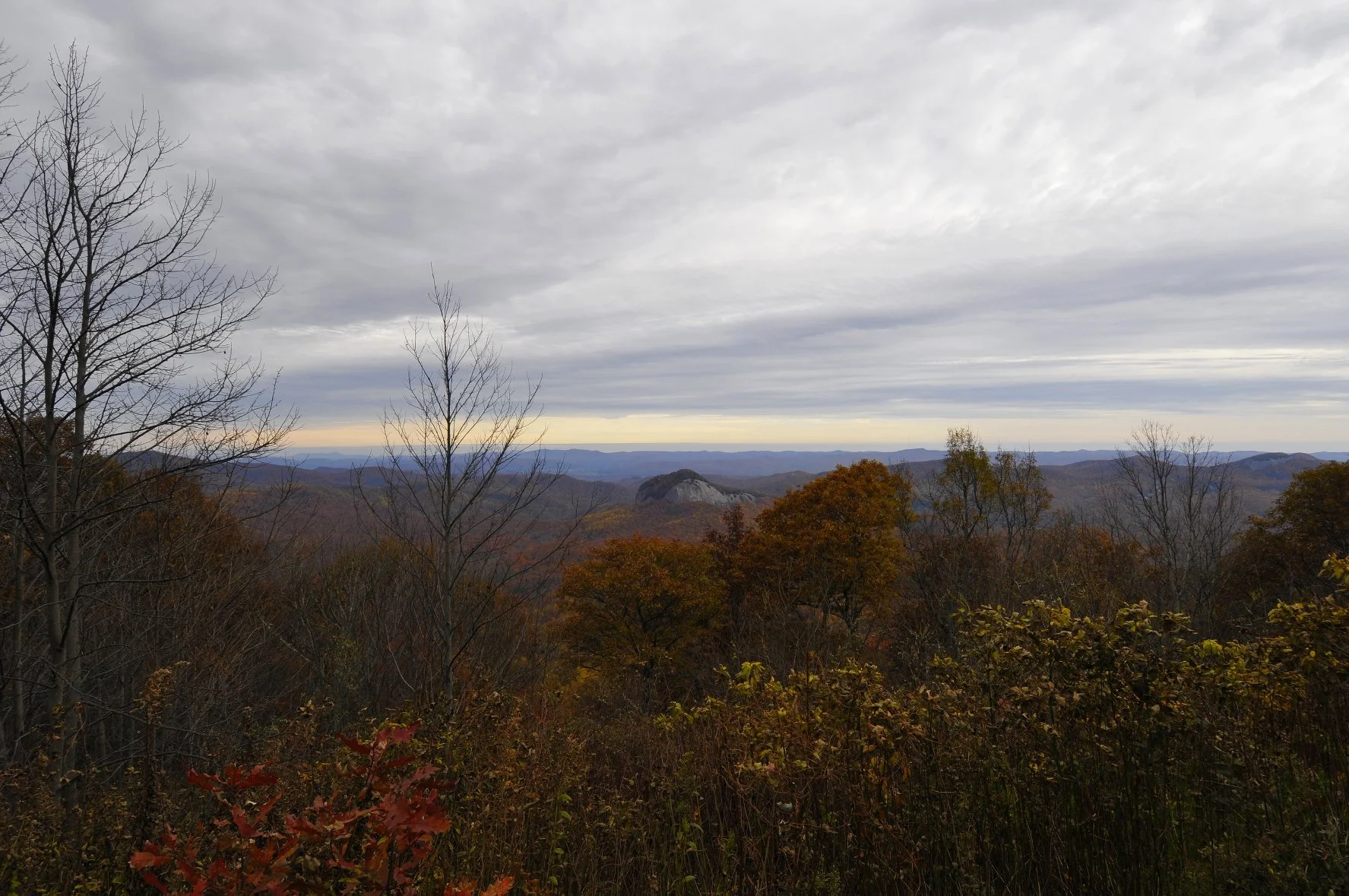 _DSC5777William Quarles Photography.JPG