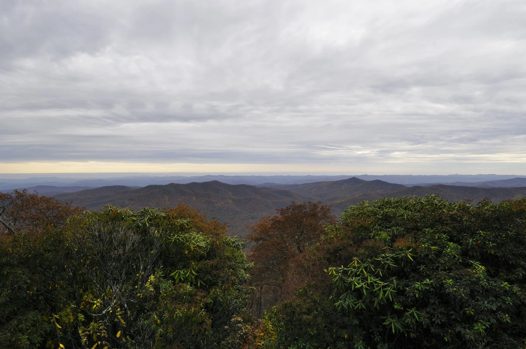_DSC5779William Quarles Photography.JPG