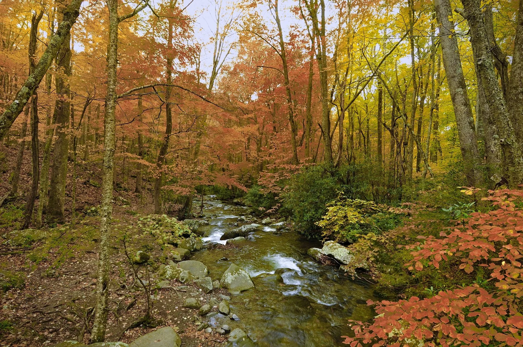5401William Quarles Photography.JPG