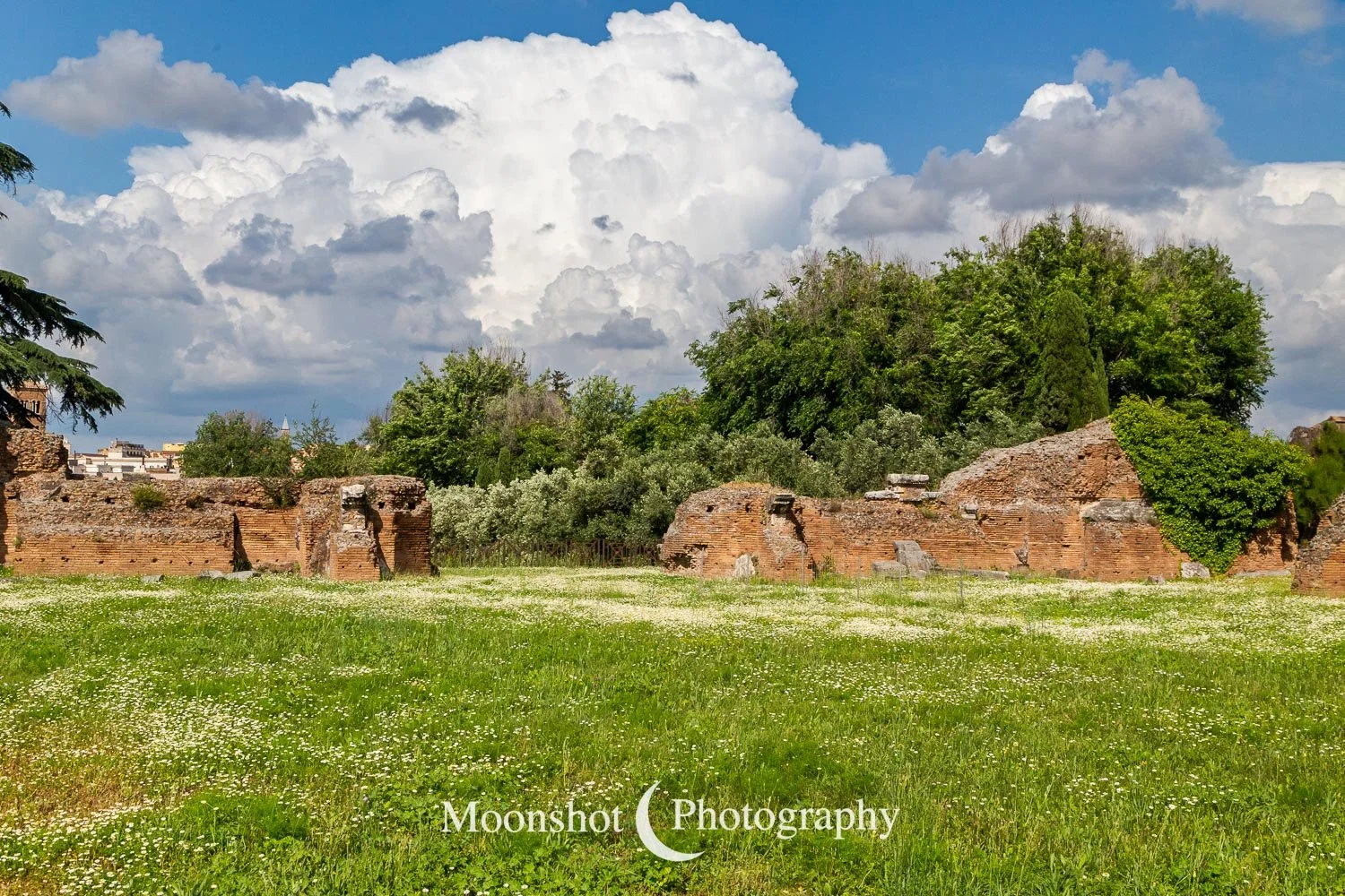 Palazzo Ruins - Roman Forum
