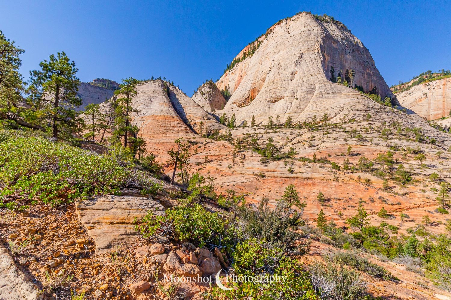 Zion Bluffs