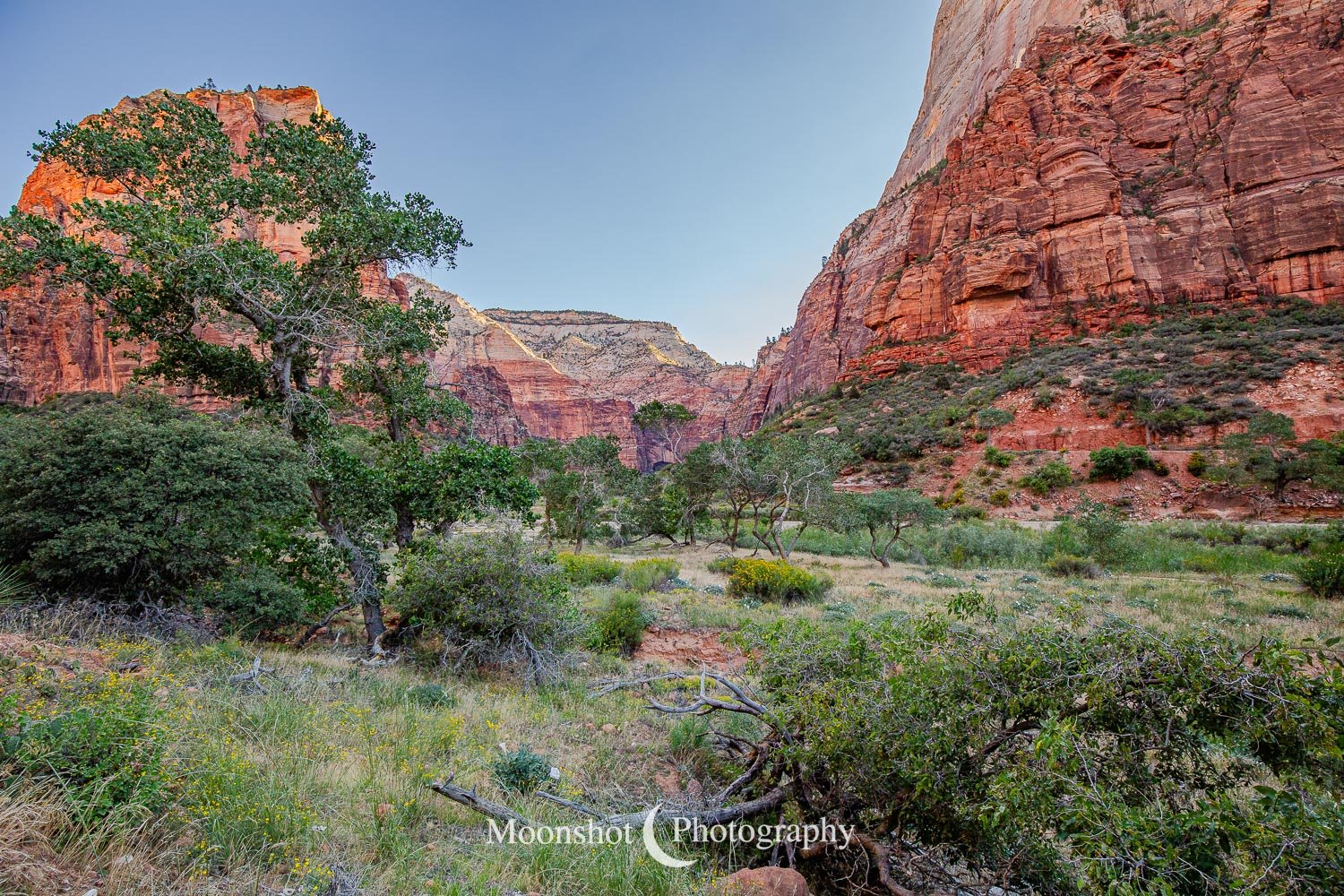 Zion National Park