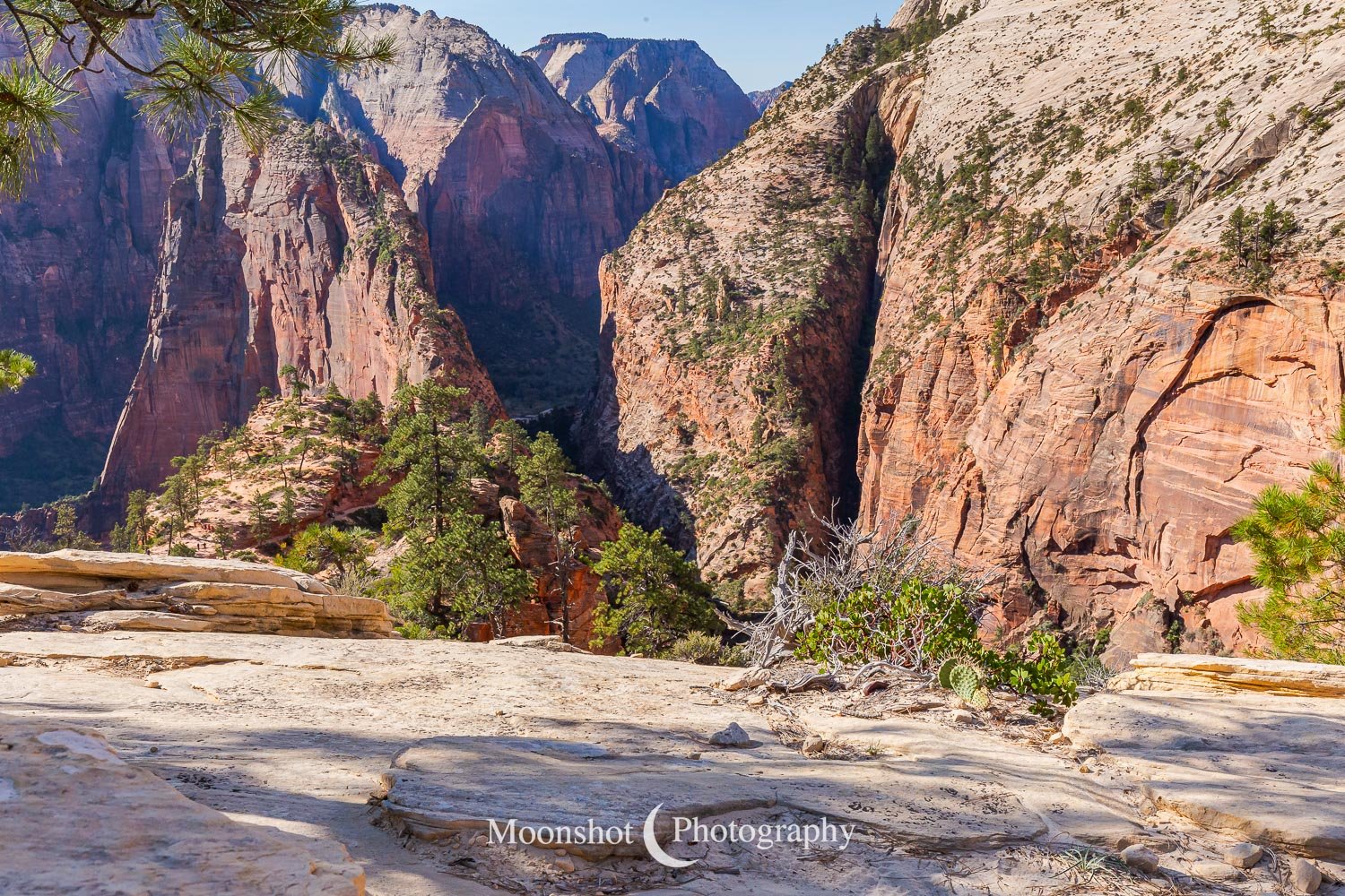 Angel's Landing